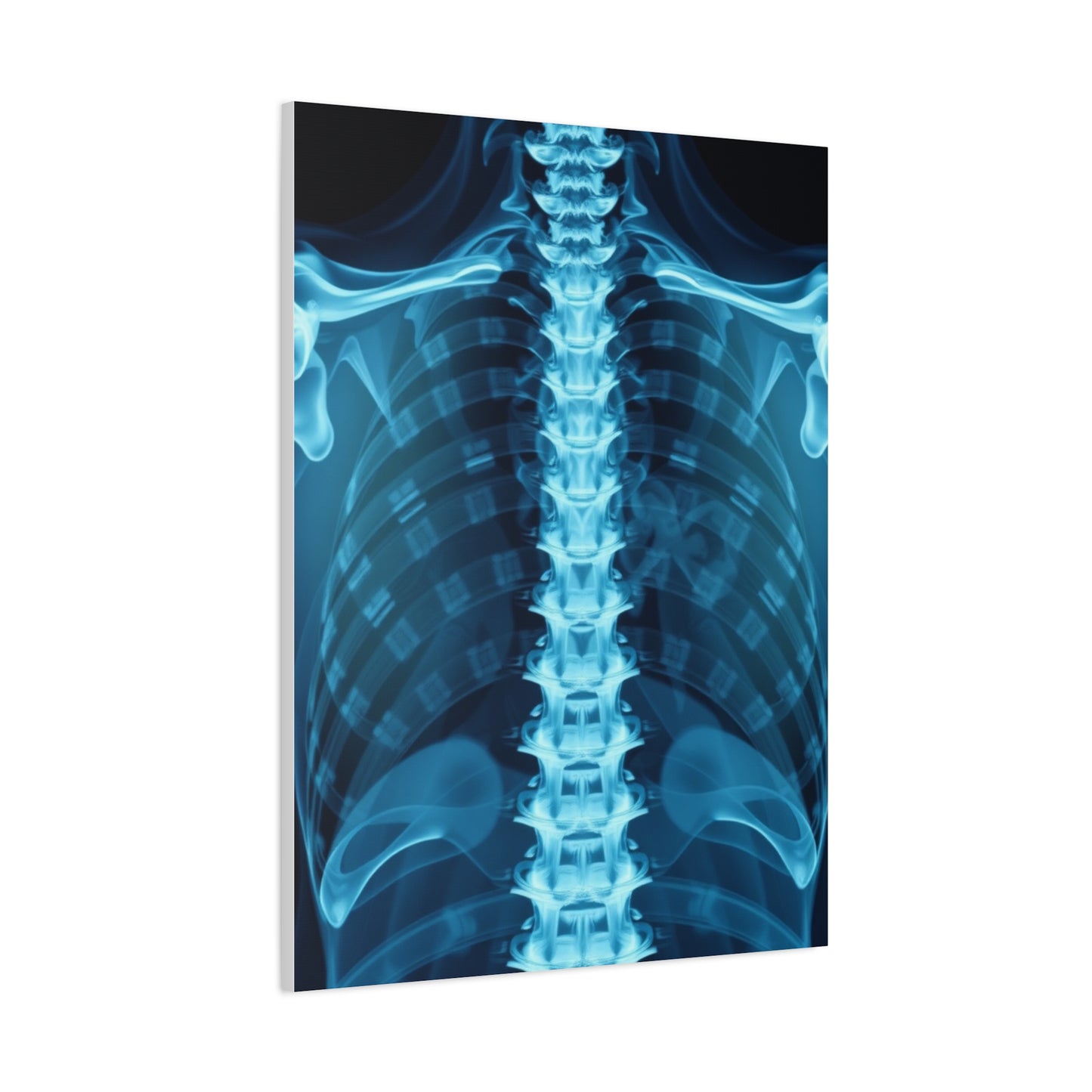 X-Ray Photography Art Supreme Gallery Wall Art & Canvas Print