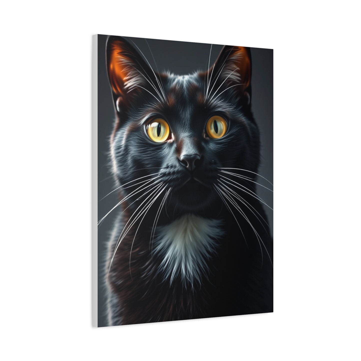 Supreme Tuxedo Cat Art Collection Wall Art & Canvas Print