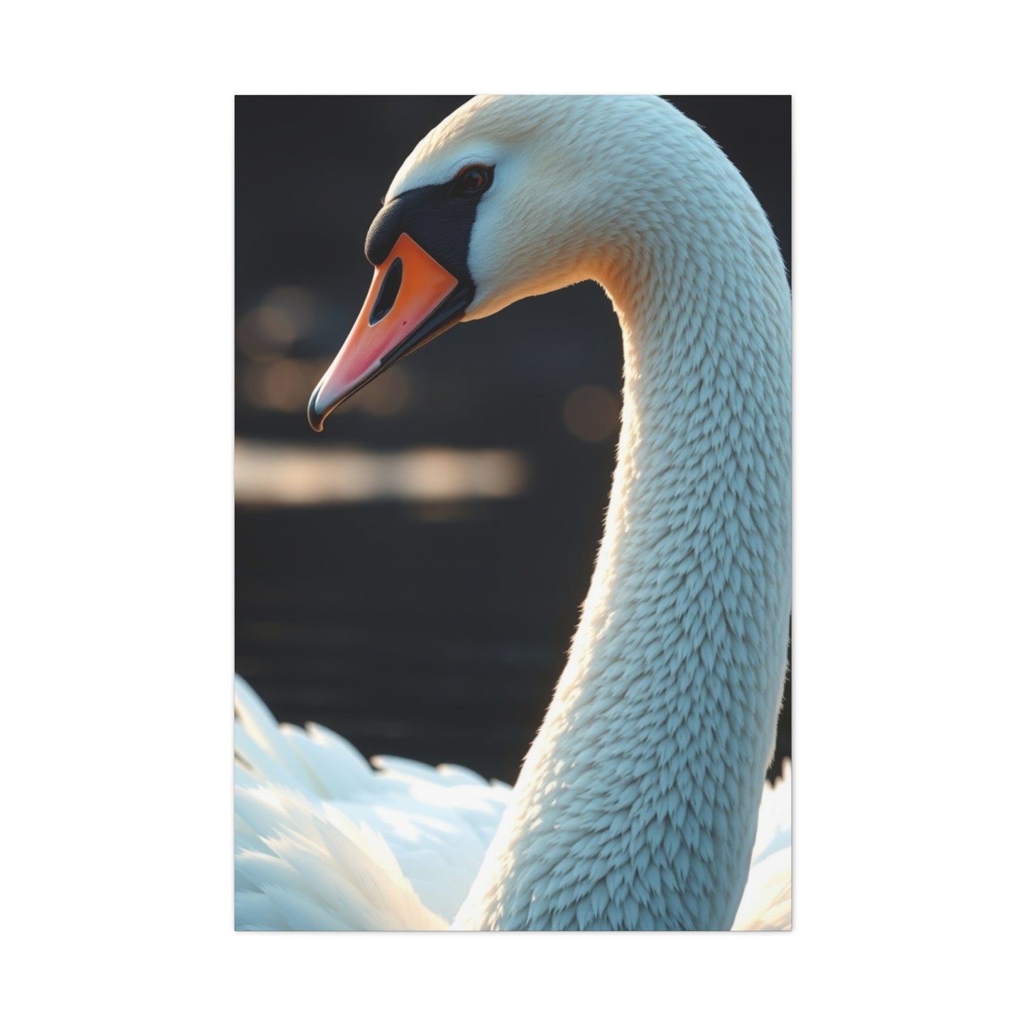 Swan Art Luxury Canvas Wall Art & Canvas Print