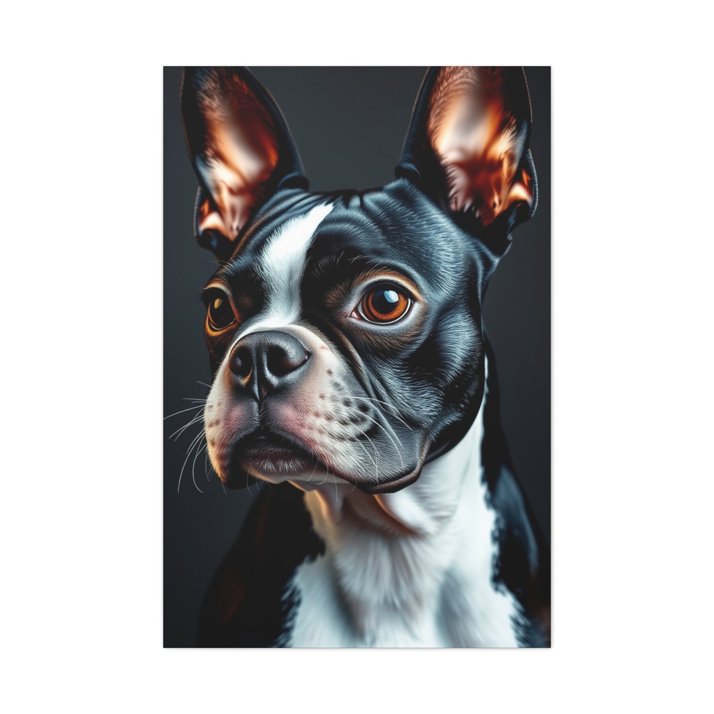 Boston Terrier Art Supreme Gallery Wall Art & Canvas Print
