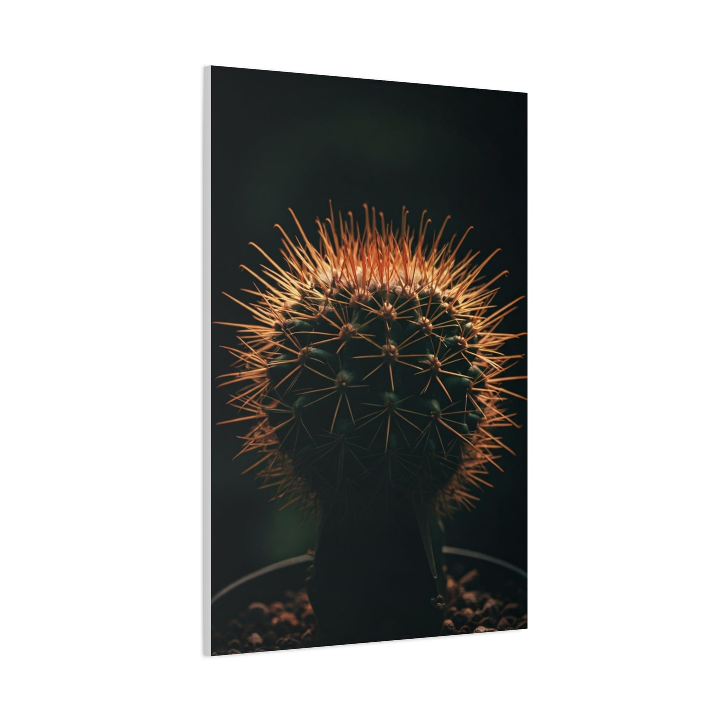 Midnight Desert Cactus Wall Art & Canvas Prints