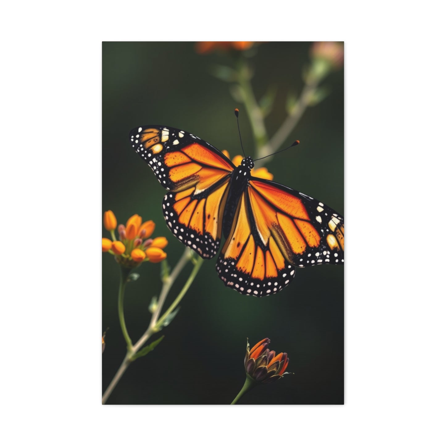 Masterpiece Monarch Butterflies Art Vision Wall Art & Canvas Print