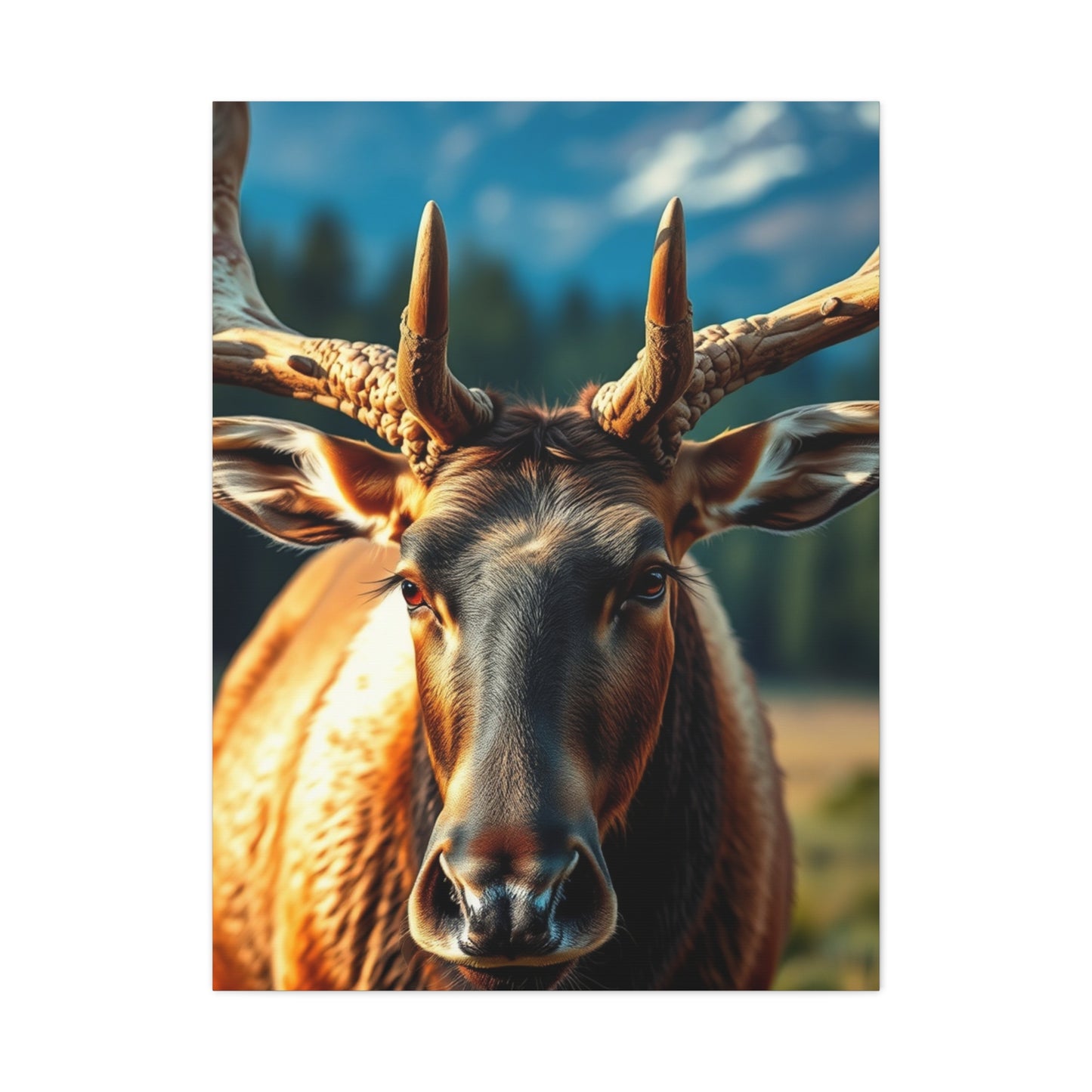 Supreme Elk Art Collection Wall Art & Canvas Print