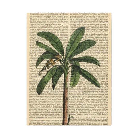 Palm Tree Painting On Vintage Paper Wall Art & Canvas Prints