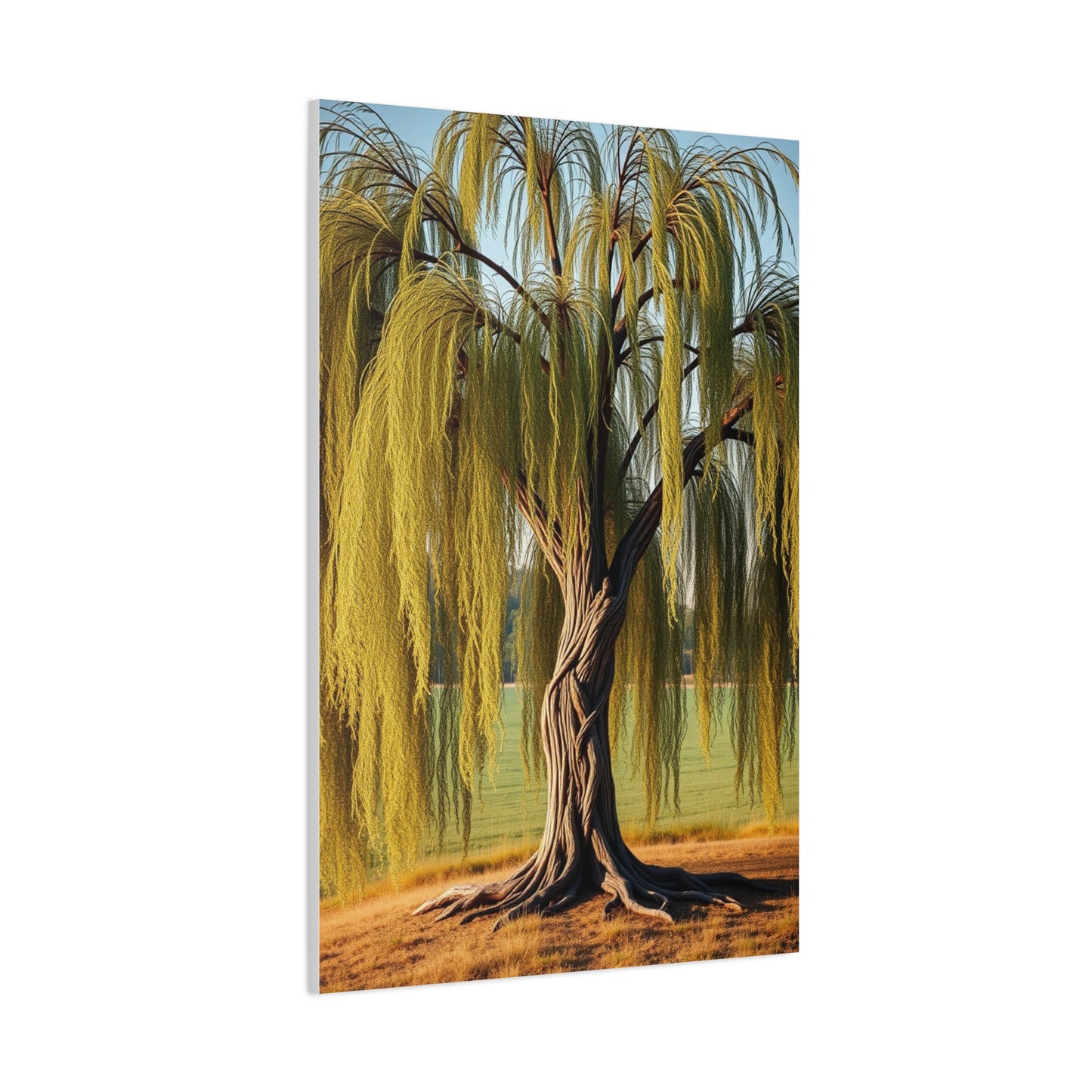 Supreme Willow Tree Art Collection Wall Art & Canvas Print
