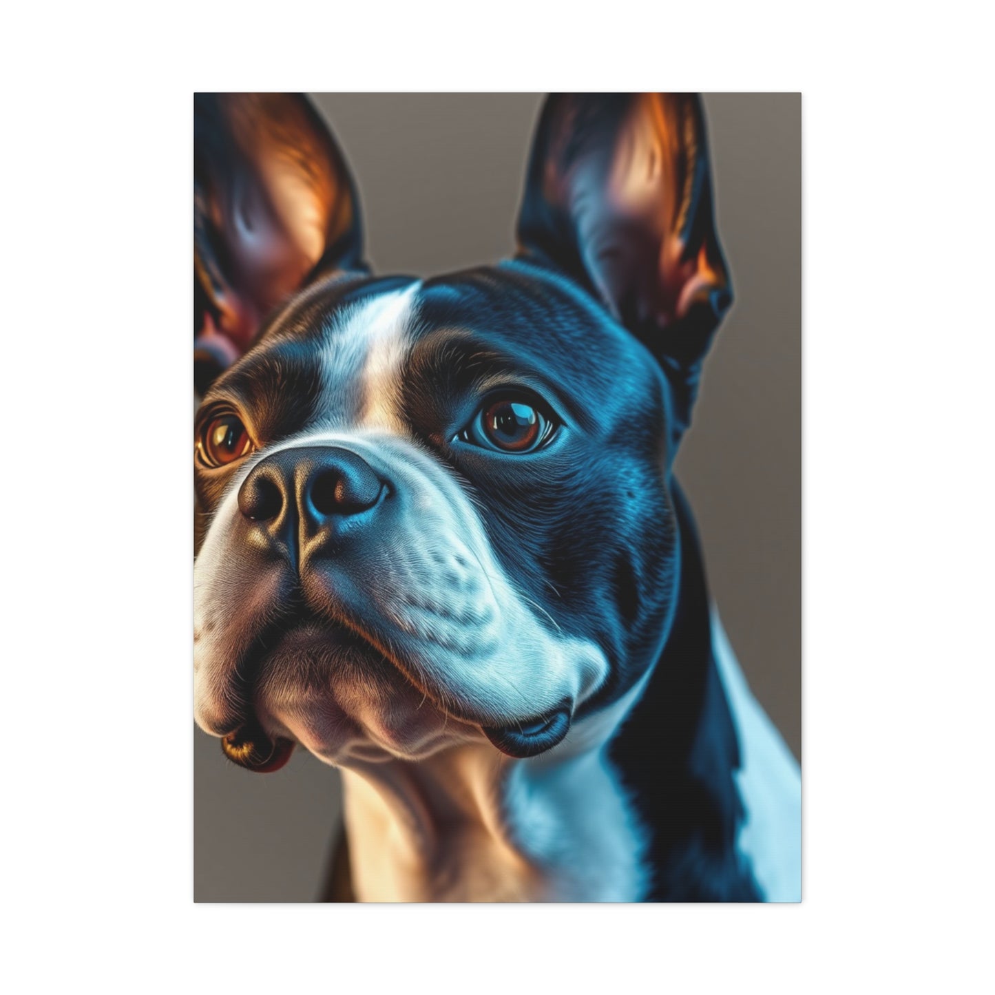 Boston Terrier Art Supreme Gallery Wall Art & Canvas Print