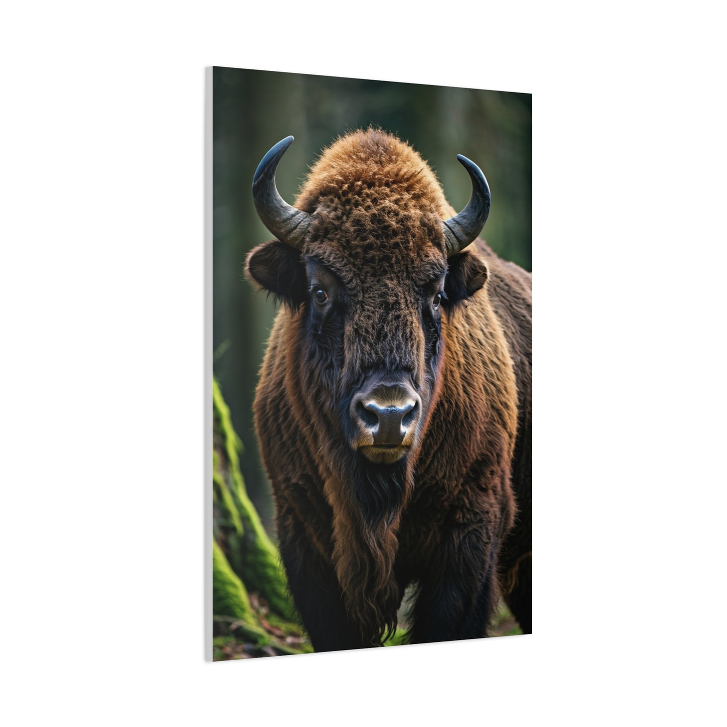 American Bison in Prairie Grass Portrait Wall Art & Canvas Print