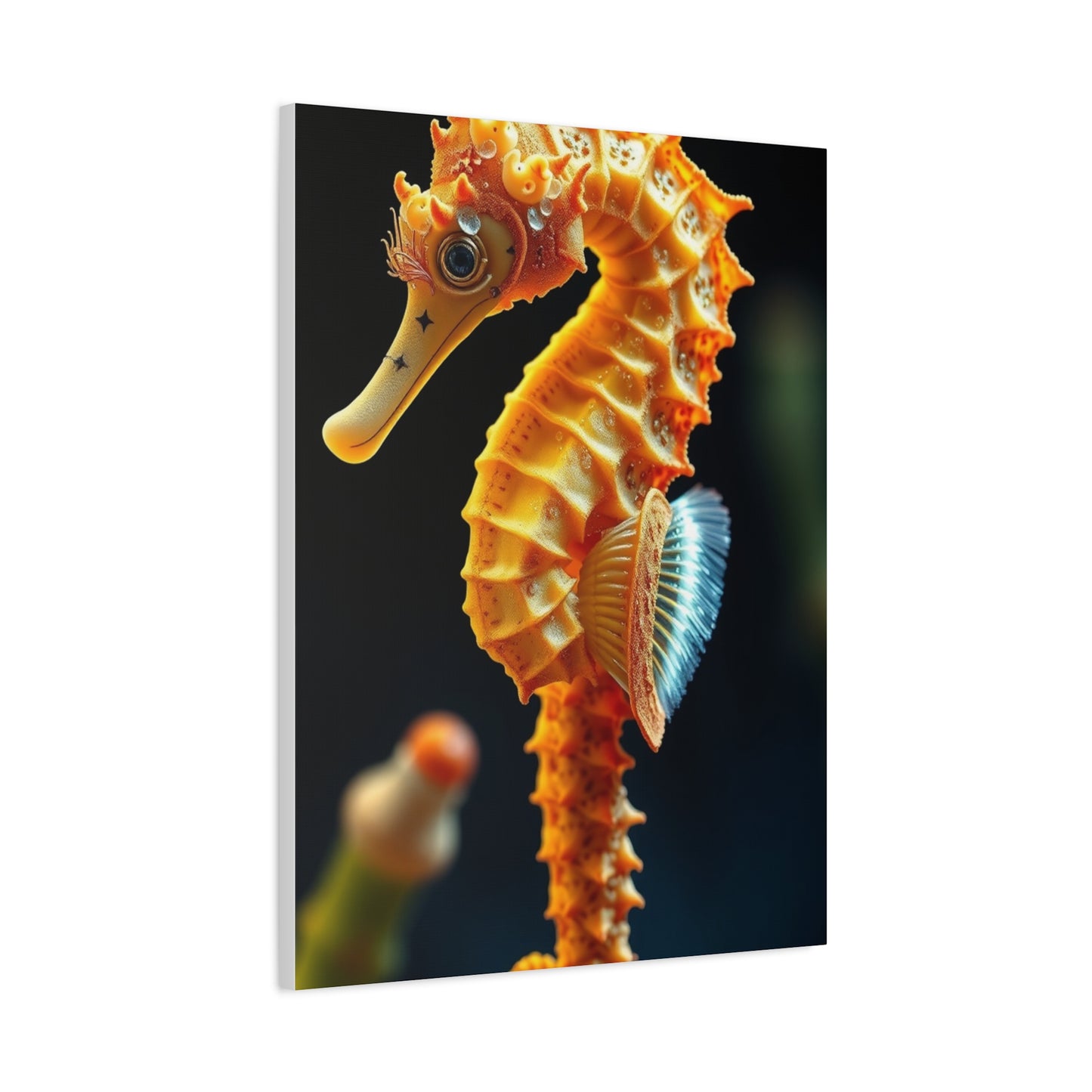 Seahorse Art Luxury Canvas Wall Art & Canvas Print