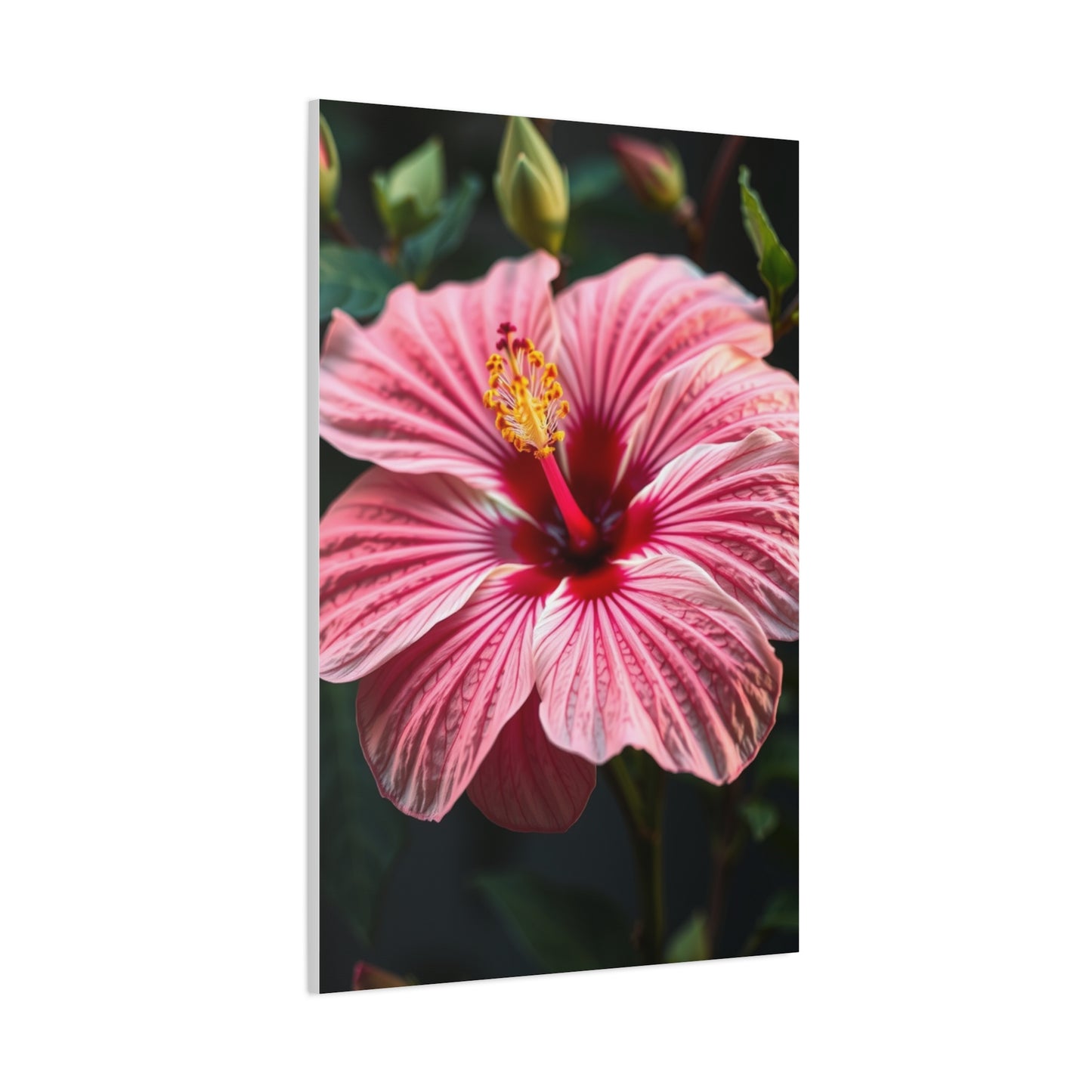 Supreme Hibiscus Flower Art Collection Wall Art & Canvas Print