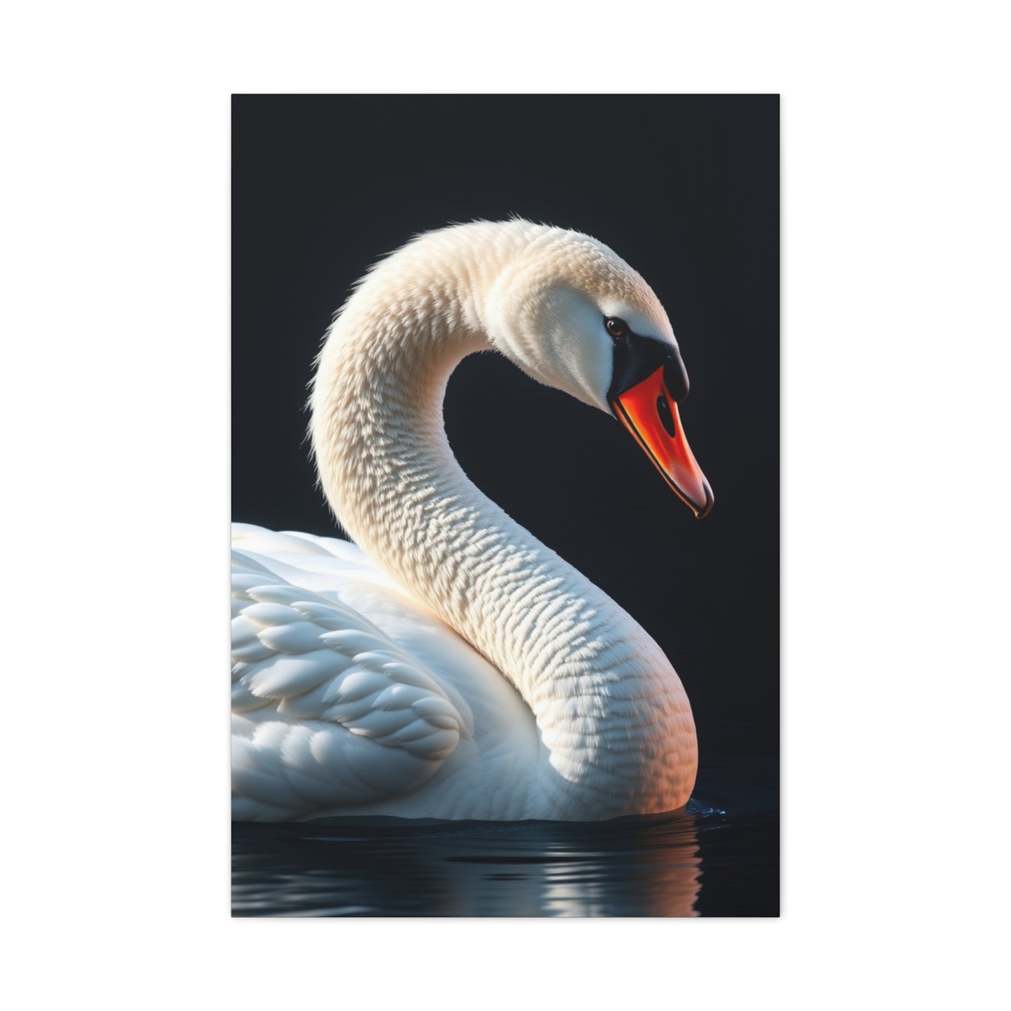Supreme Swan Art Collection Wall Art & Canvas Print