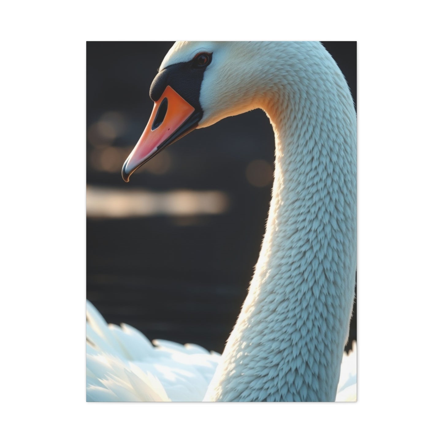 Swan Art Luxury Canvas Wall Art & Canvas Print