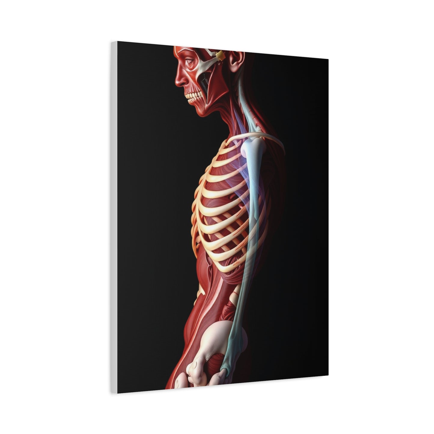 Supreme Anatomy Art Collection Wall Art & Canvas Print