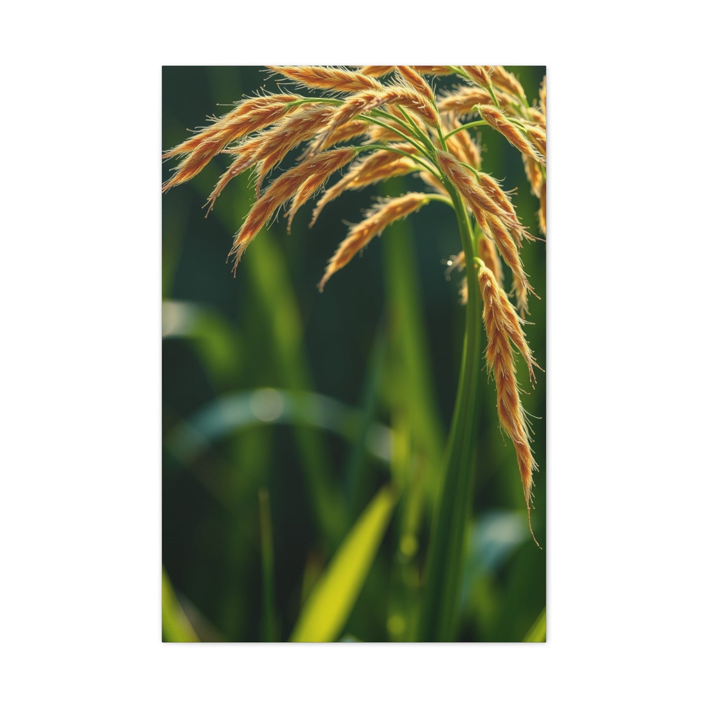 Exquisite Botanic Canvas Wall Art & Canvas Print