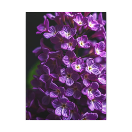 Masterpiece Lilac Flower Art Vision Wall Art & Canvas Print