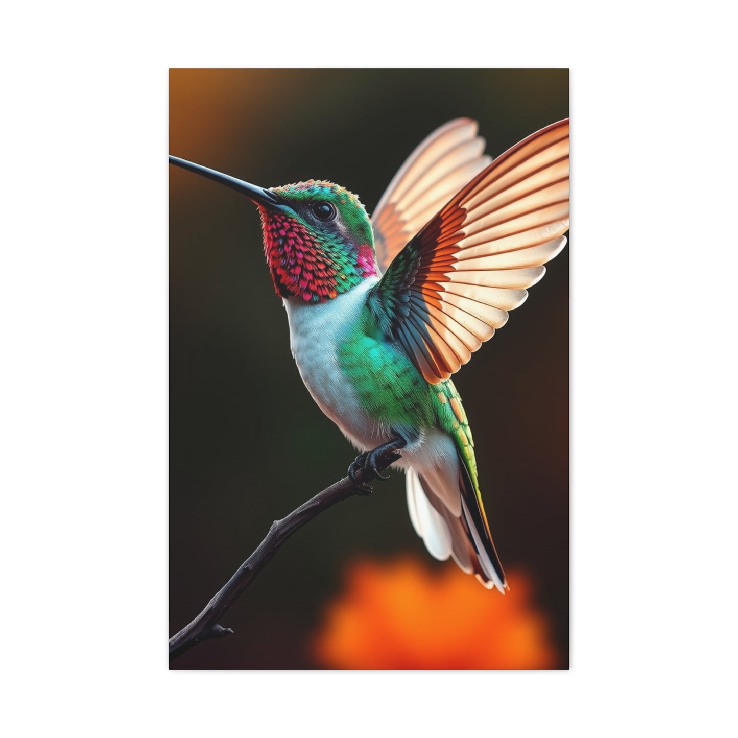 Humming Bird Art Luxury Canvas Wall Art & Canvas Print