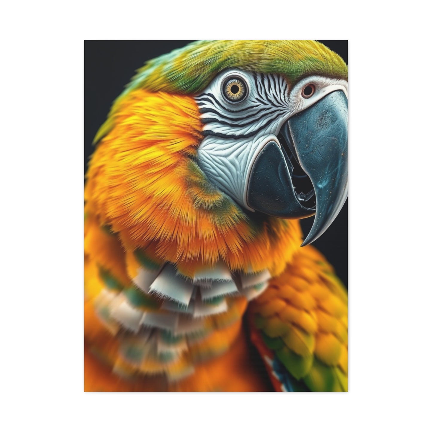 Vision Parrot Art Art Wall Art & Canvas Print