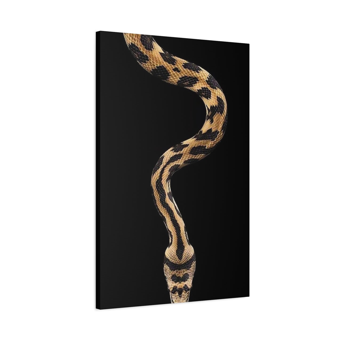 Snake On Black Poster Wall Art & Canvas Prints
