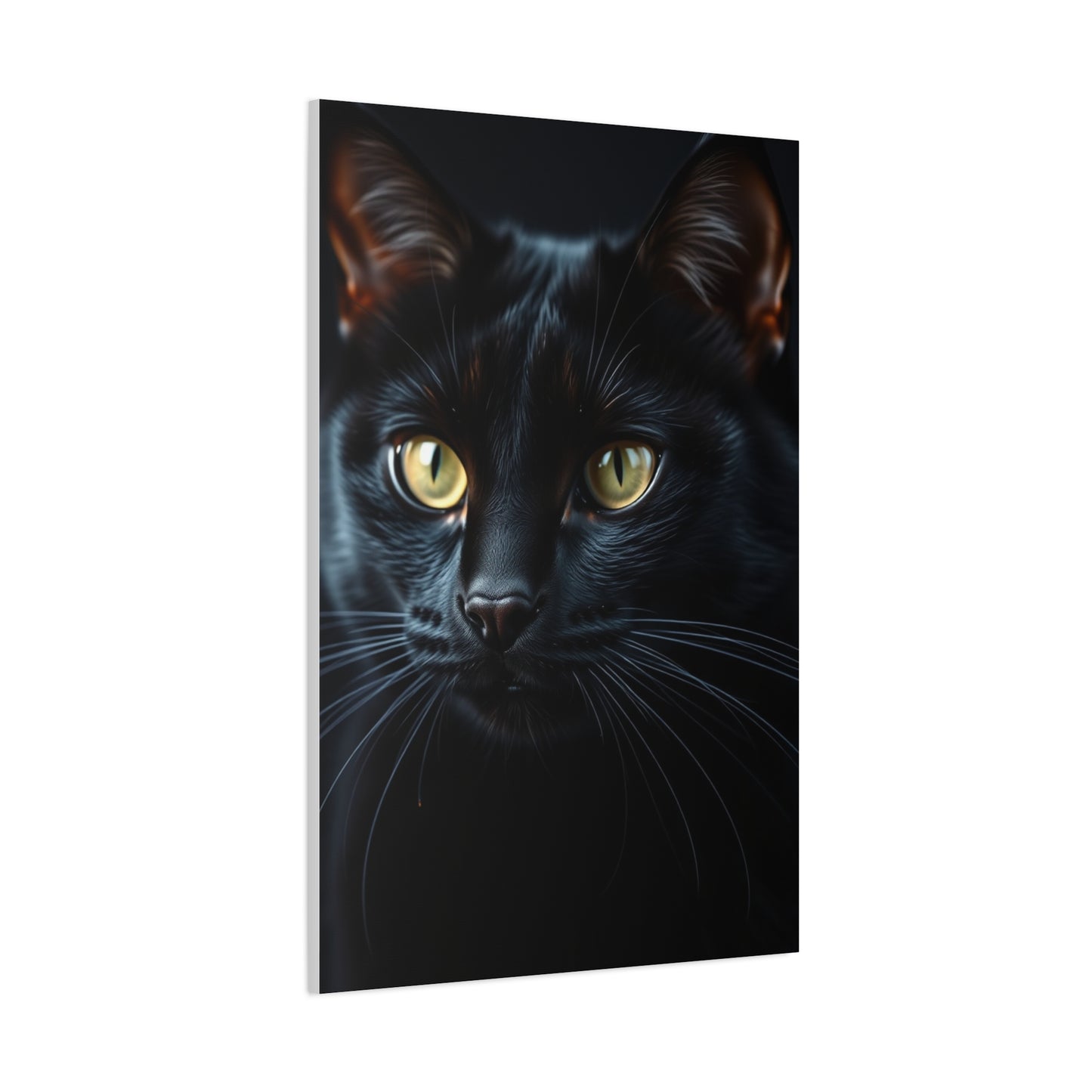 Elite Black Cat Art Vision Wall Art & Canvas Print