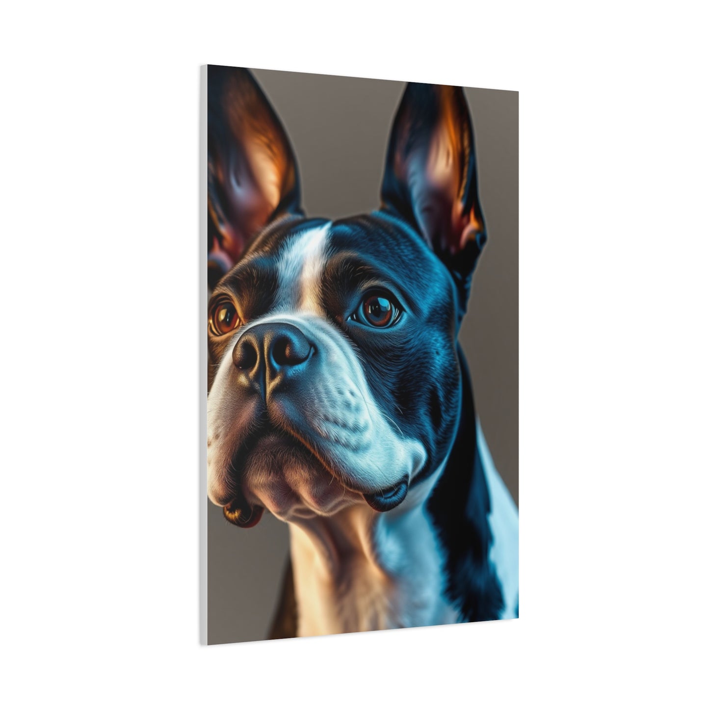 Boston Terrier Art Supreme Gallery Wall Art & Canvas Print