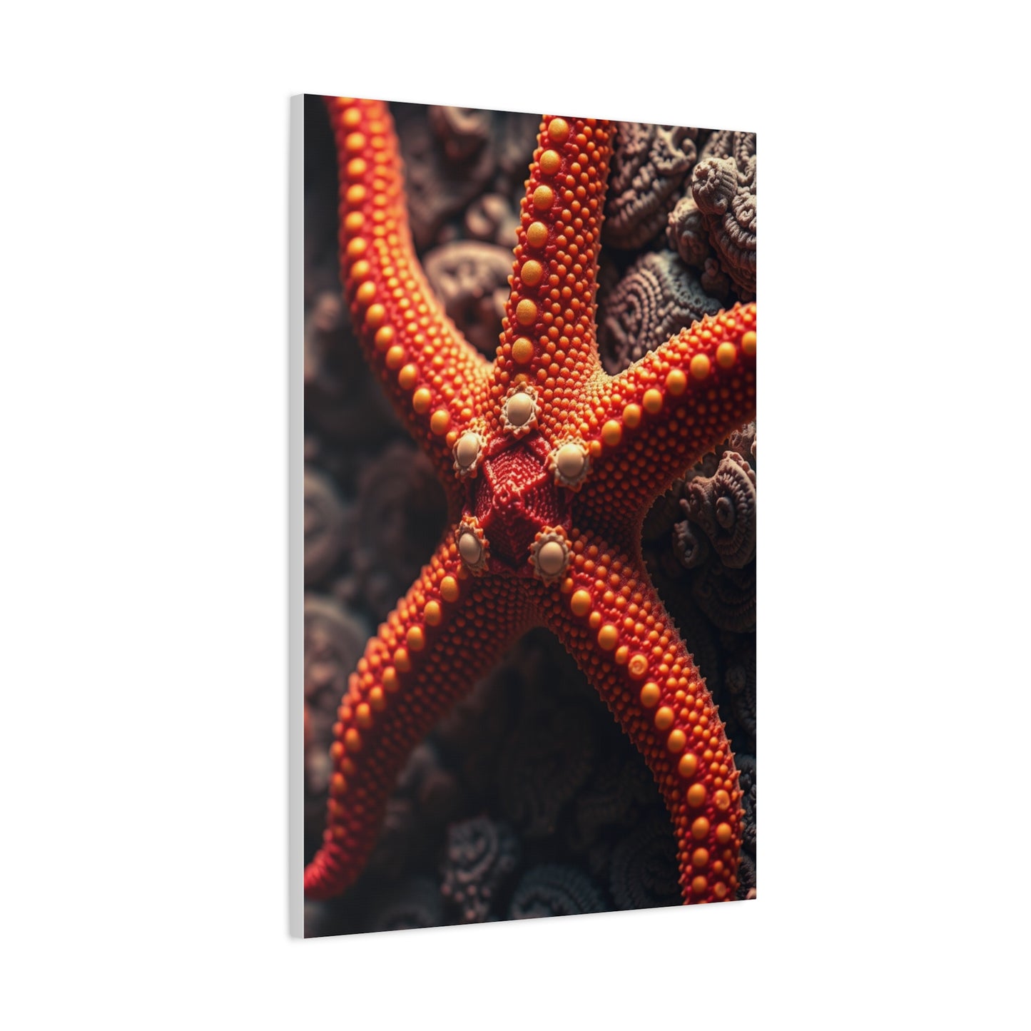 Vision Starfish Art Art Wall Art & Canvas Print