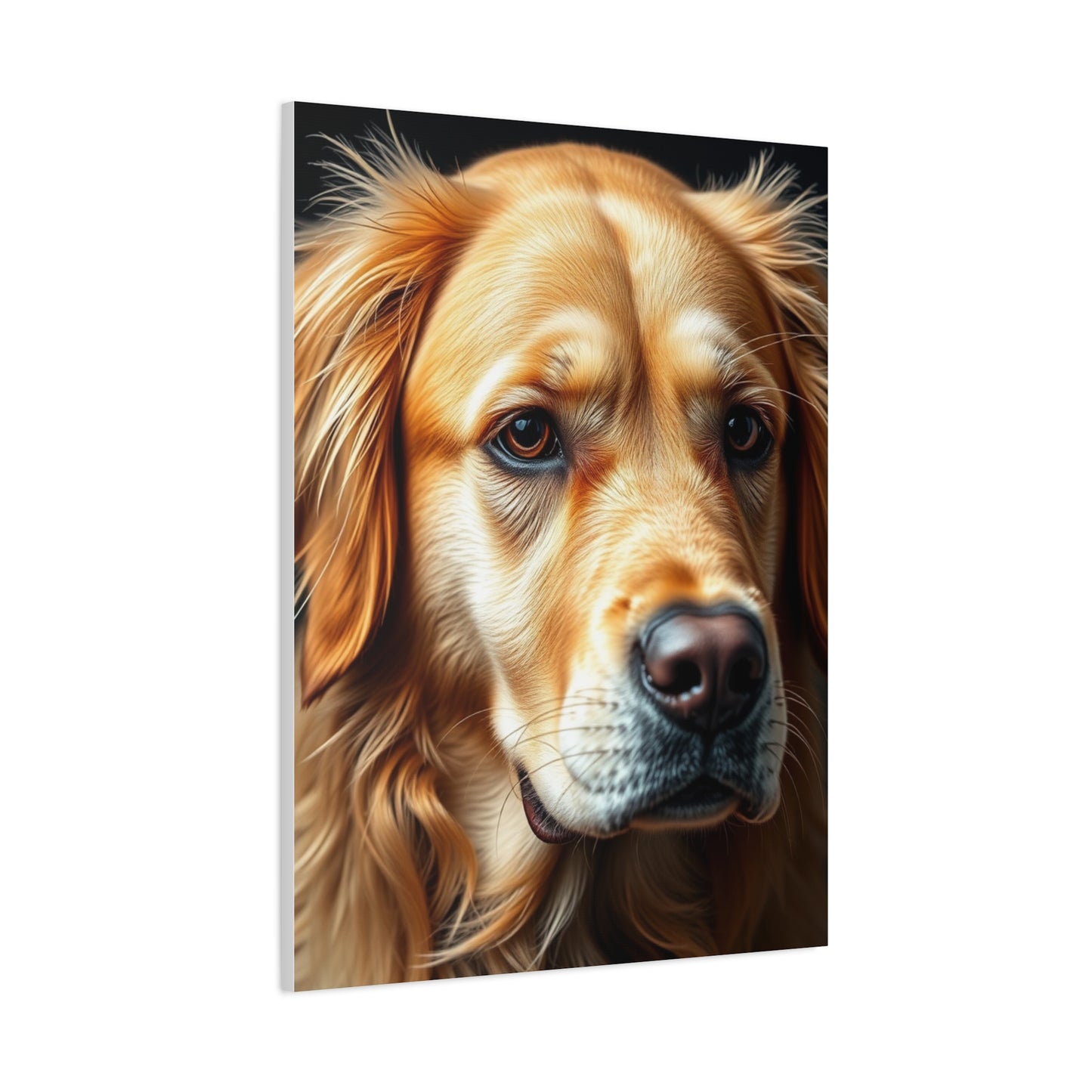 Supreme Golden Retriever Art Collection Wall Art & Canvas Print