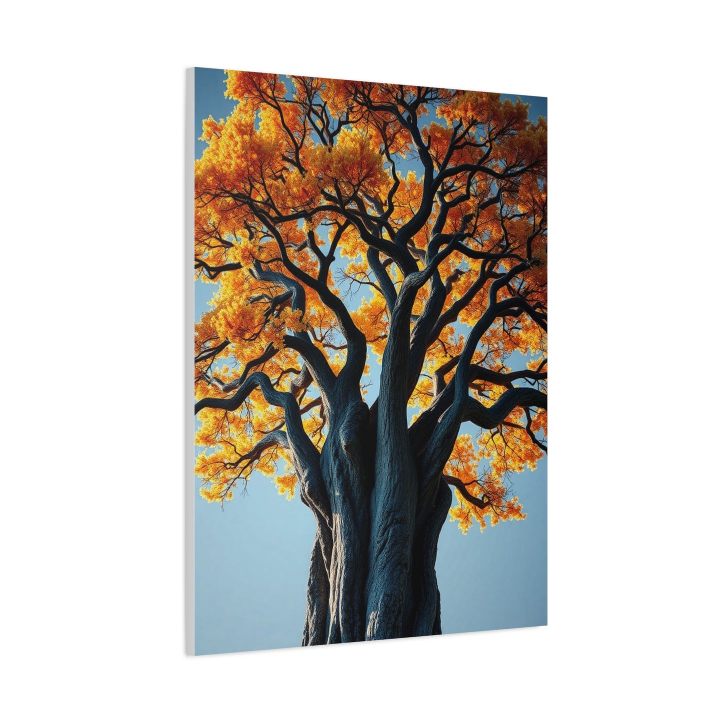 Oak Tree Art Supreme Gallery Wall Art & Canvas Print