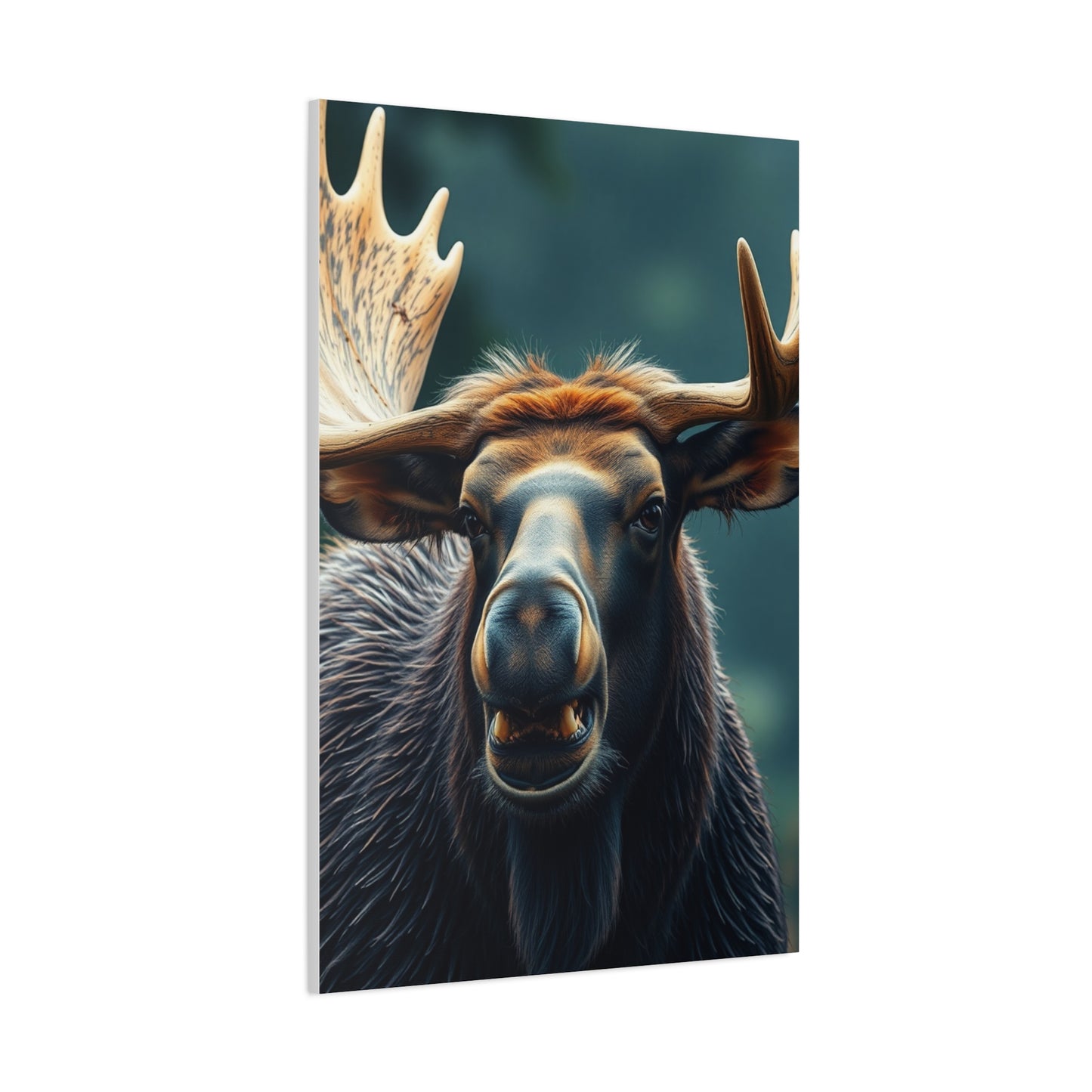 Elite Moose Art Vision Wall Art & Canvas Print