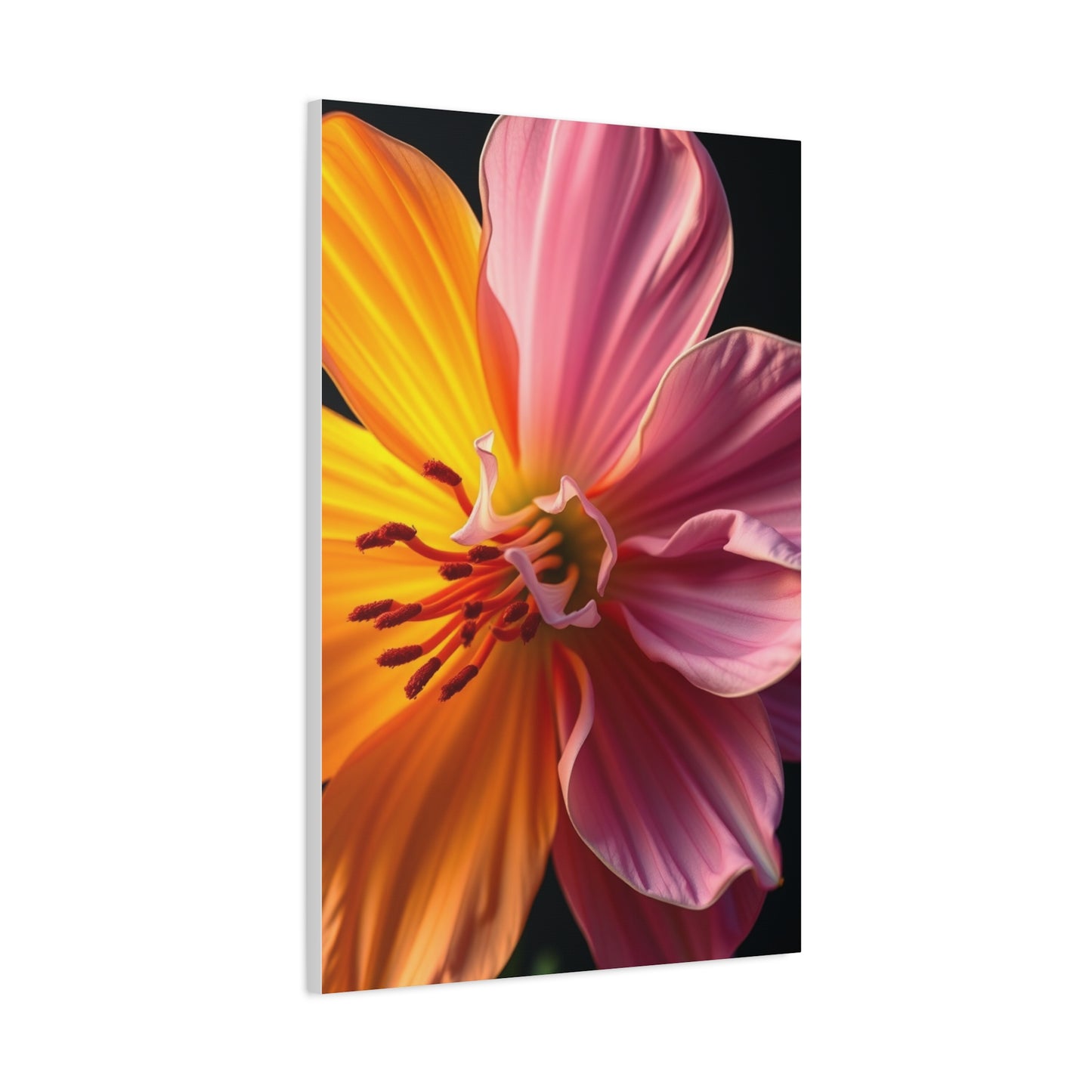 Orchid Enchantment Canvas Wall Art & Canvas Print