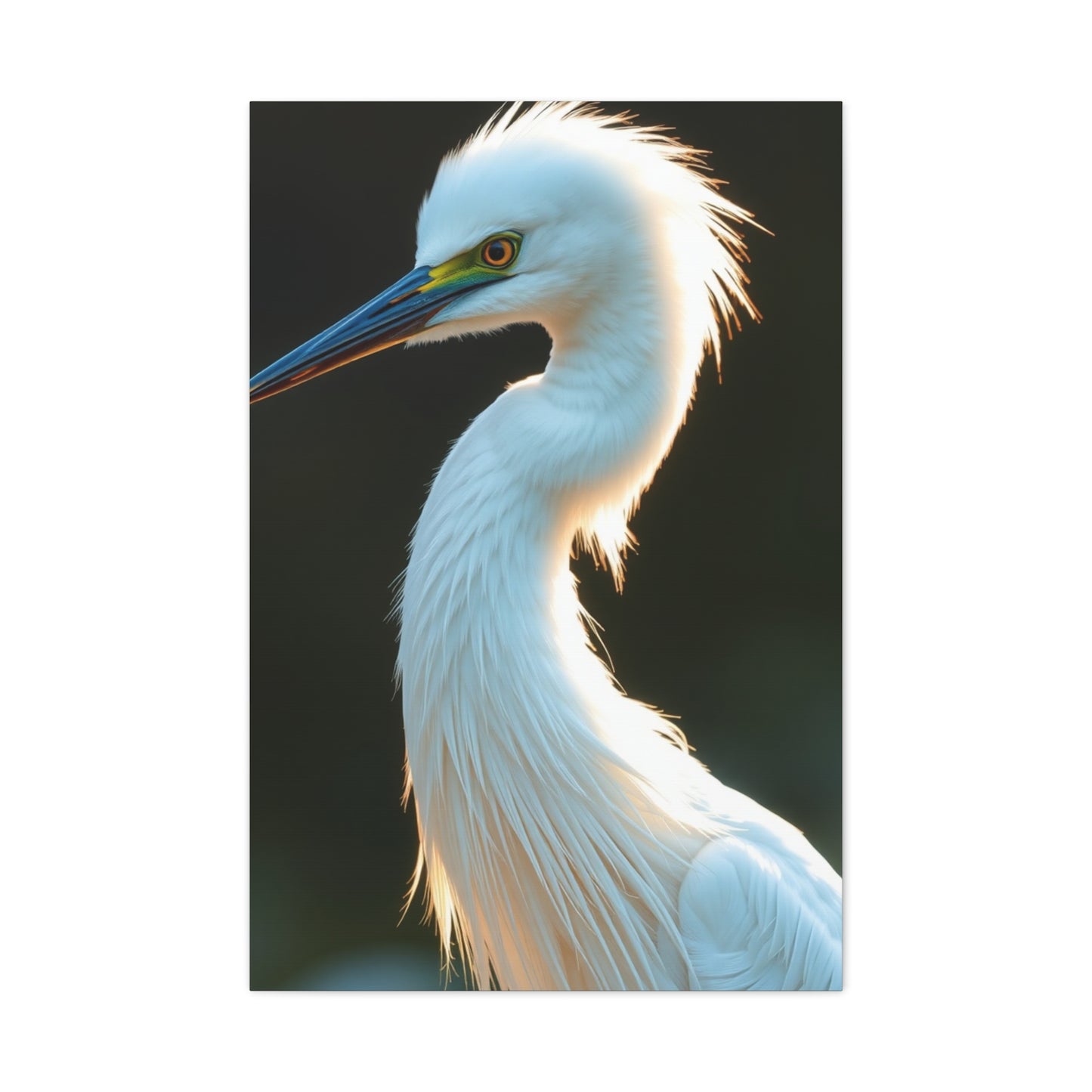 Supreme Egret Art Collection Wall Art & Canvas Print