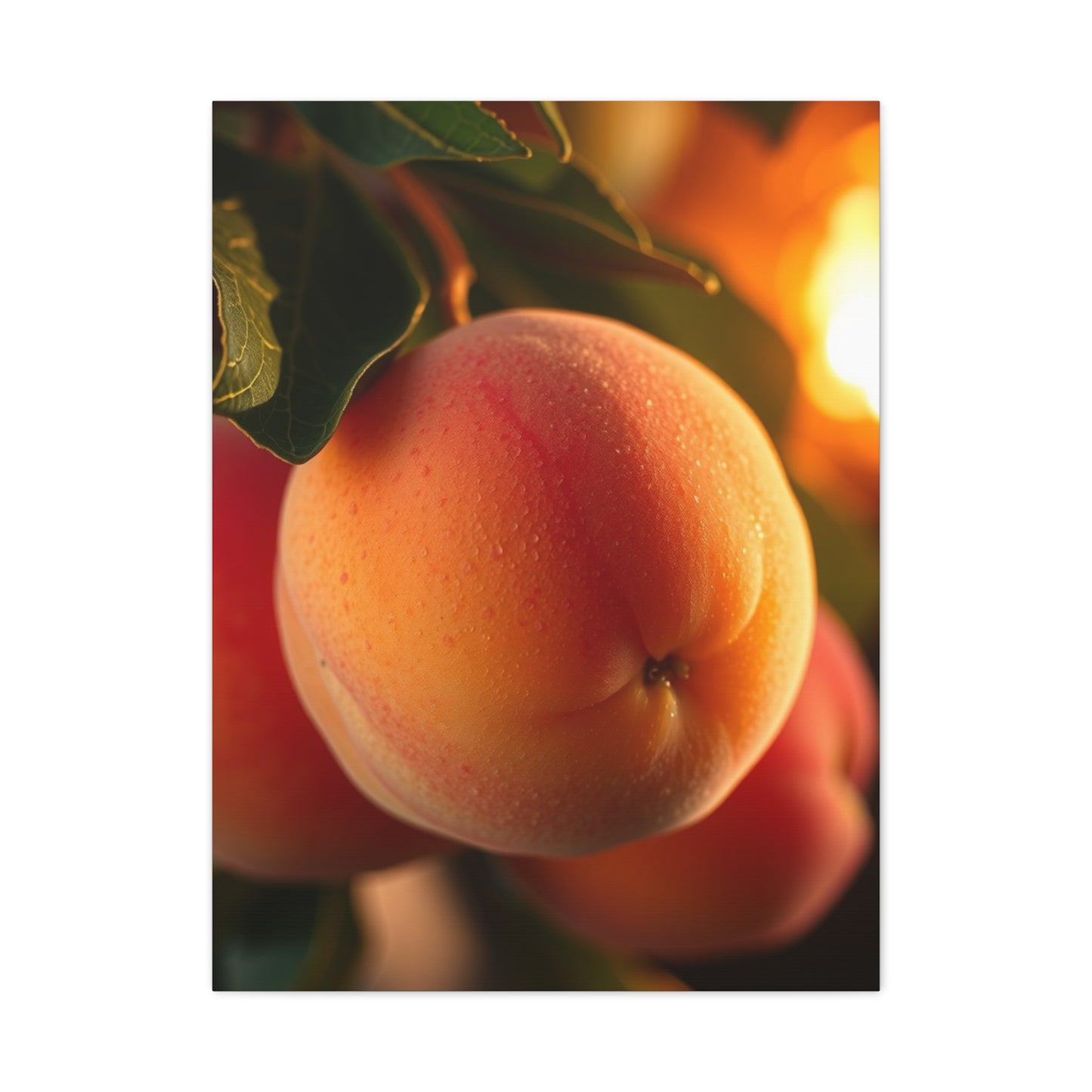 Elite Peach Art Vision Wall Art & Canvas Print