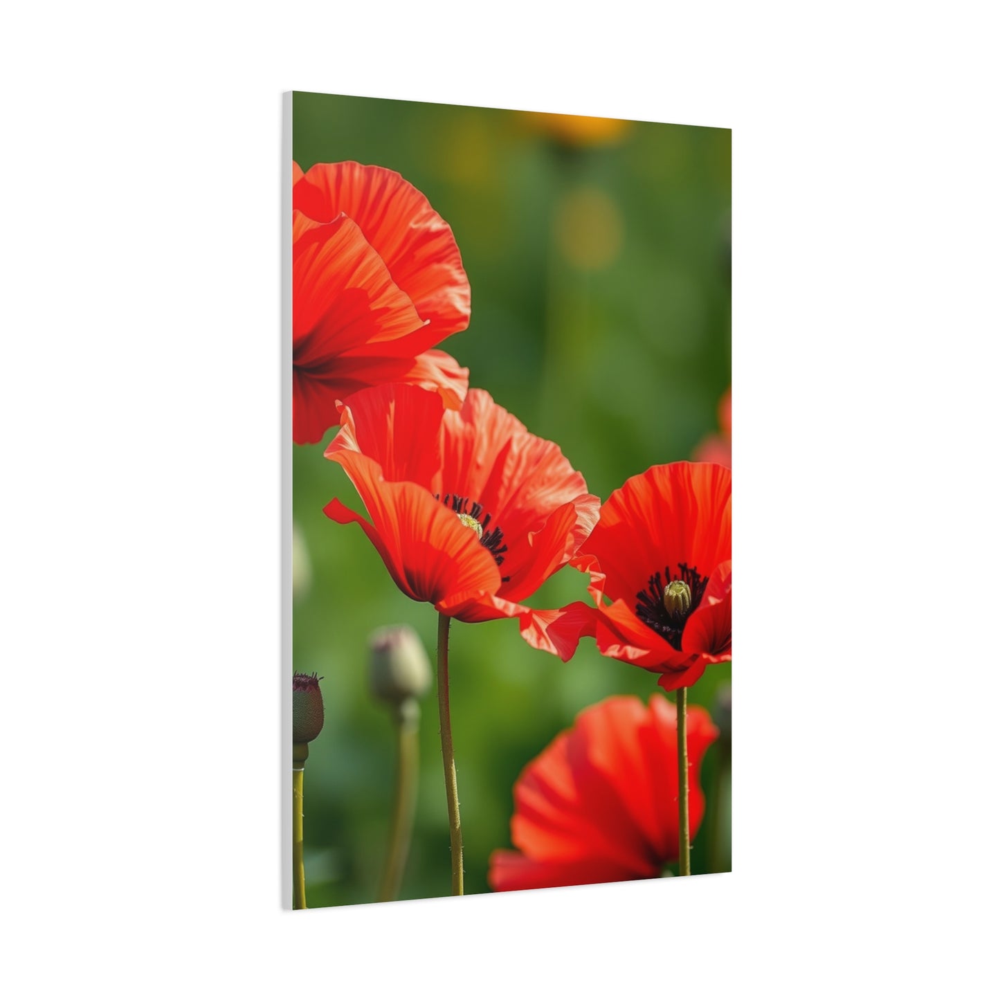 Poppy Flower Art Supreme Gallery Wall Art & Canvas Print