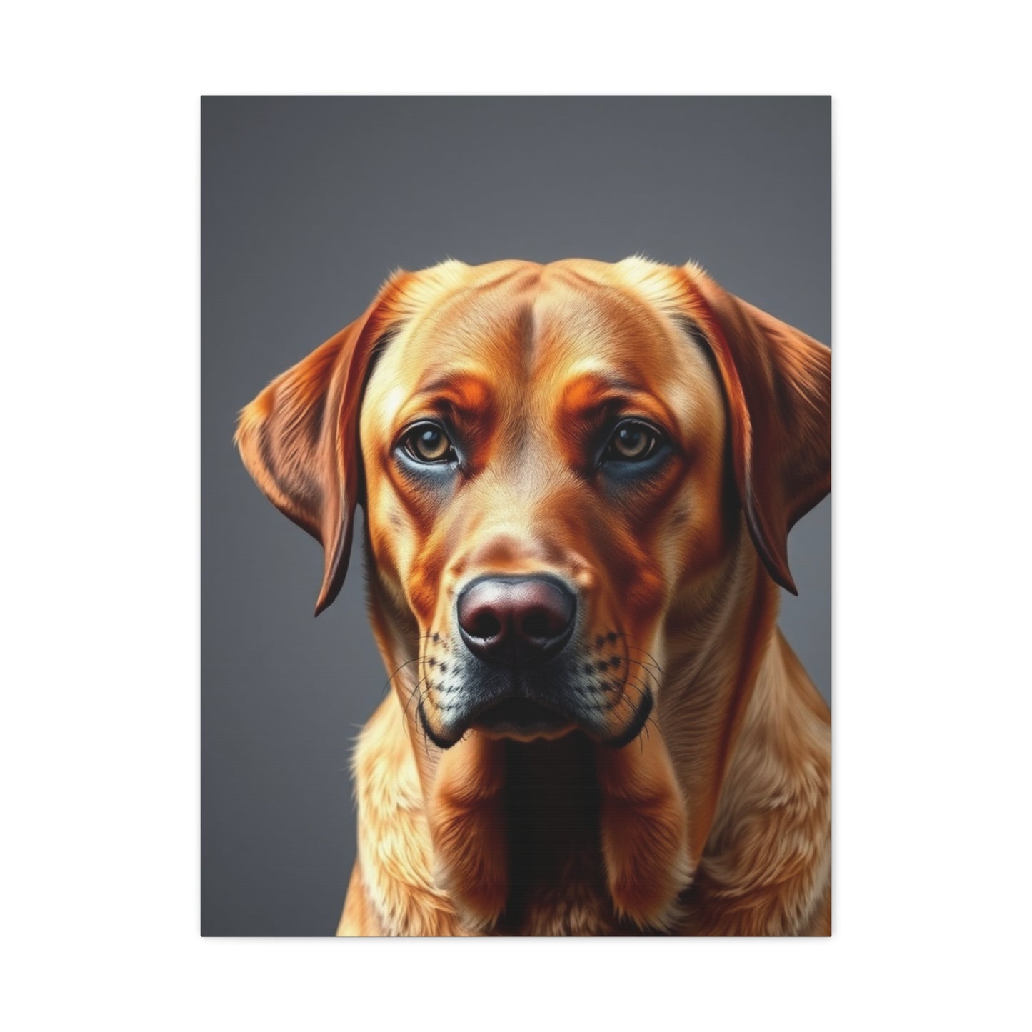Labrador Retriever Art Supreme Gallery Wall Art & Canvas Print