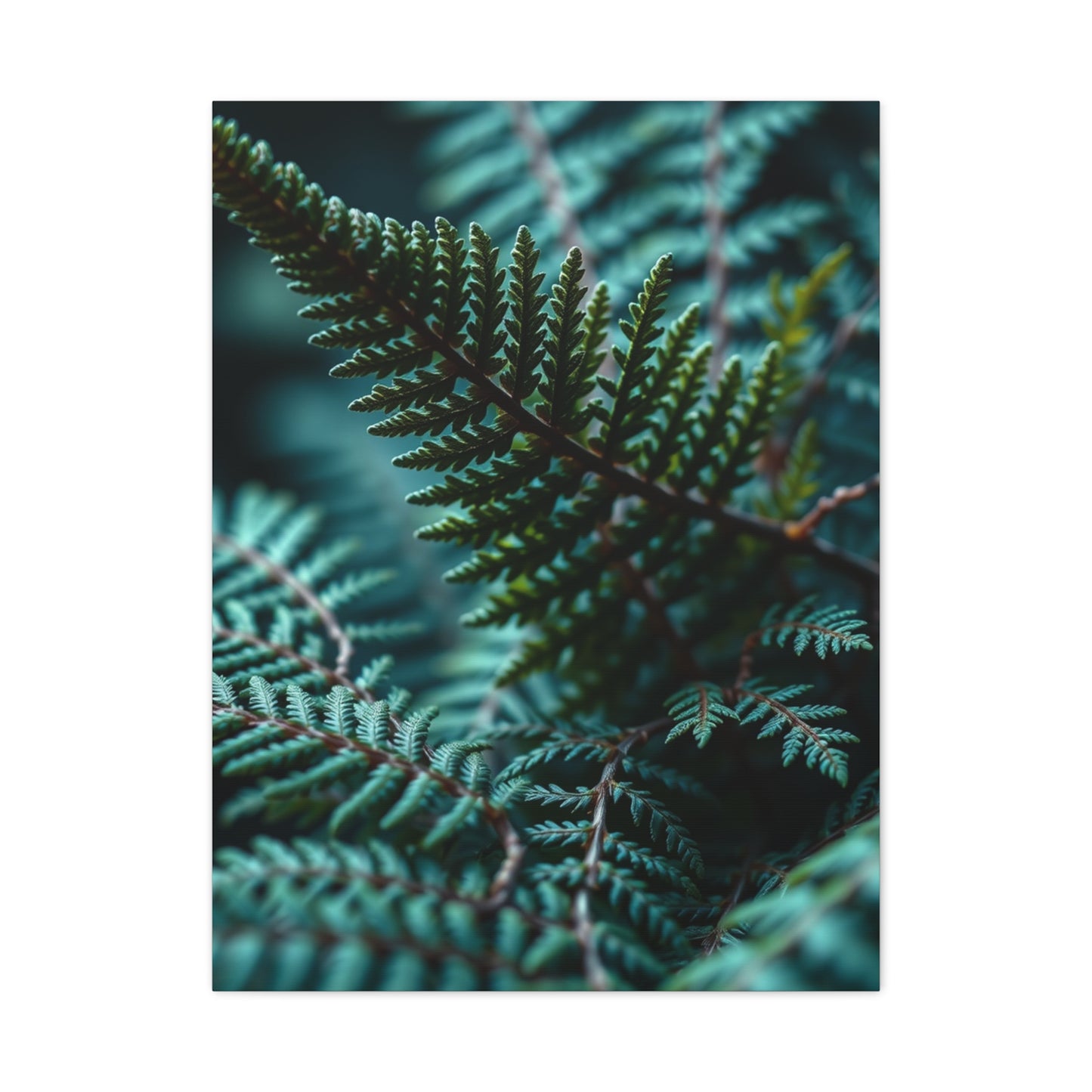 Collection Fern Art Art Wall Art & Canvas Print