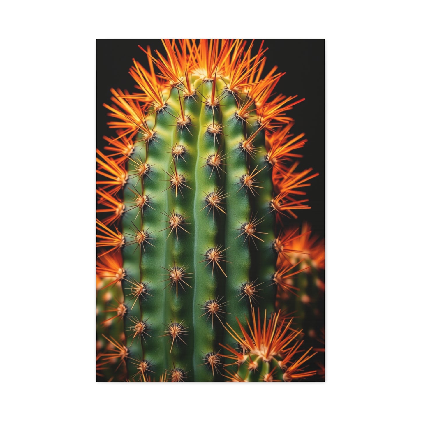 Desert Blossom Art Wall Art & Canvas Print