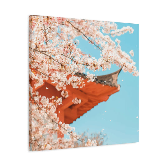 Cherry Blossom Wall Art & Canvas Prints