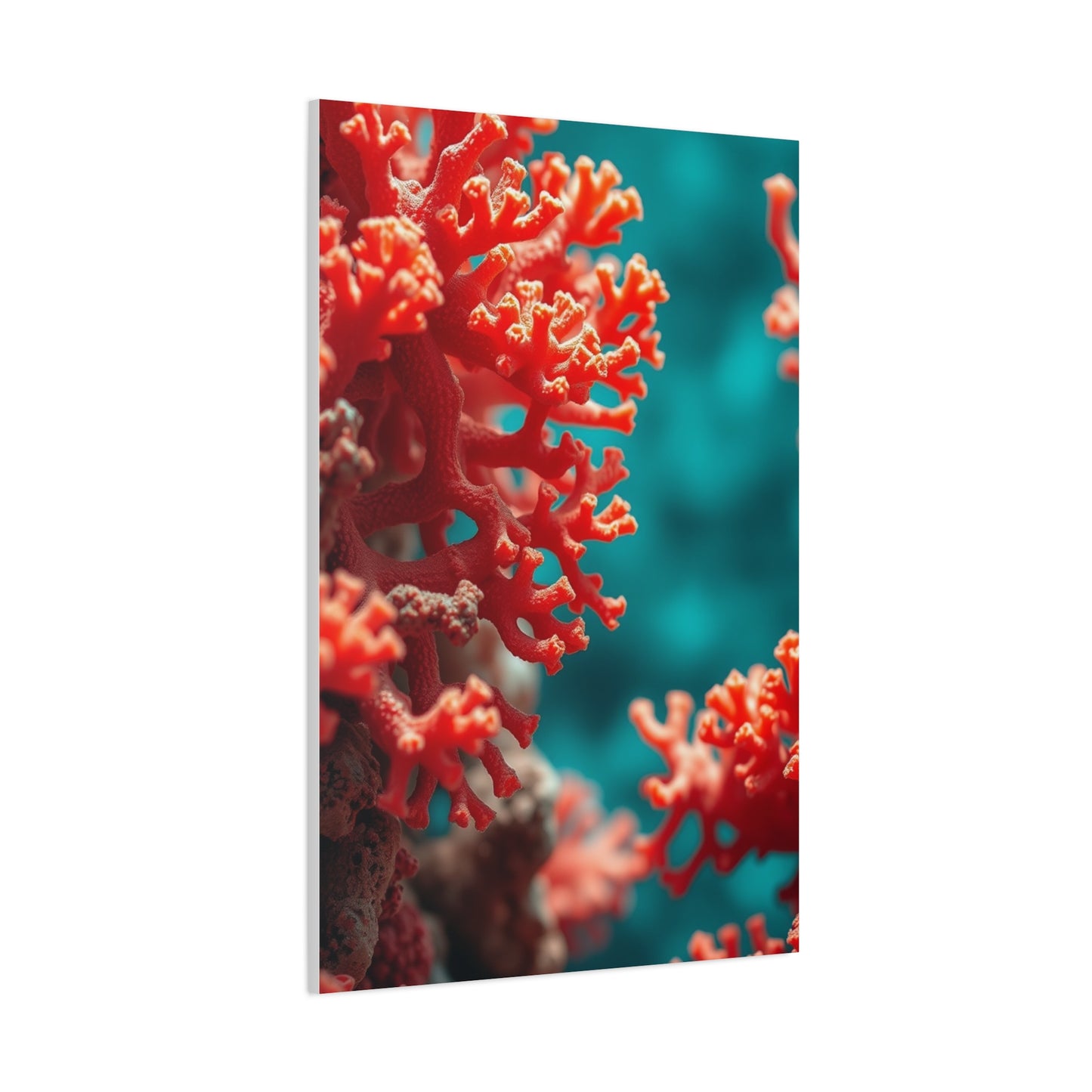 Supreme Coral Art Collection Wall Art & Canvas Print