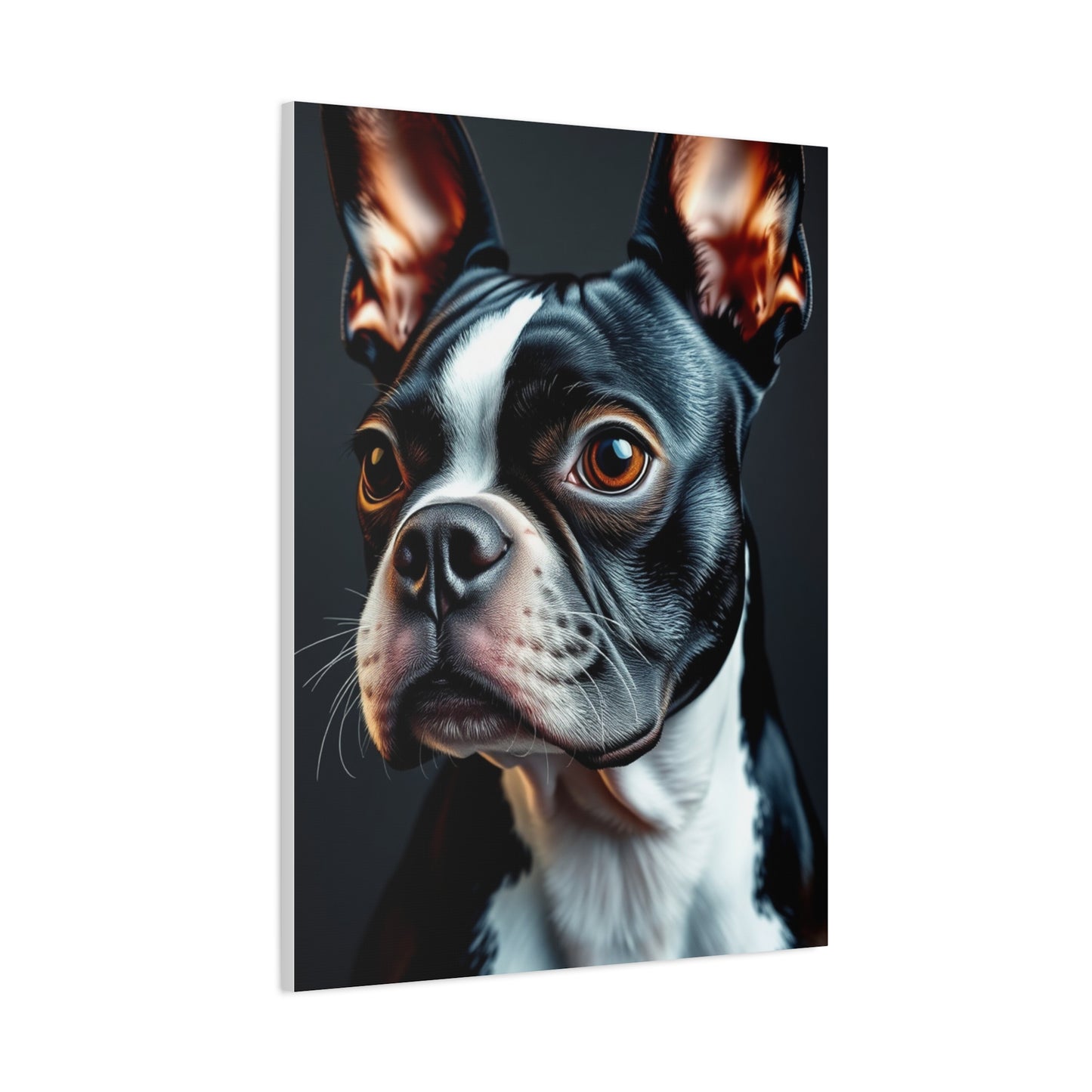 Boston Terrier Art Supreme Gallery Wall Art & Canvas Print