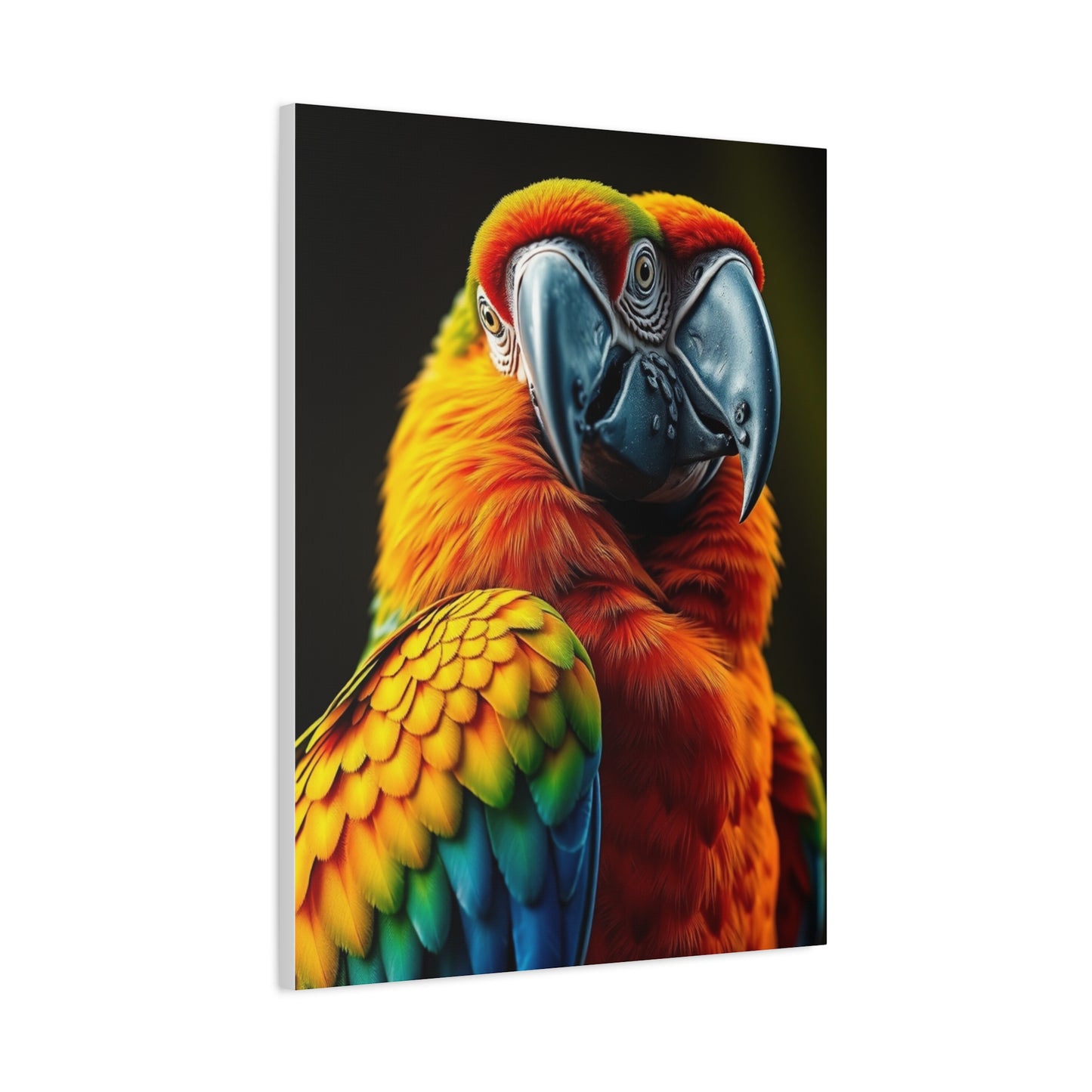 Supreme Parrot Art Collection Wall Art & Canvas Print