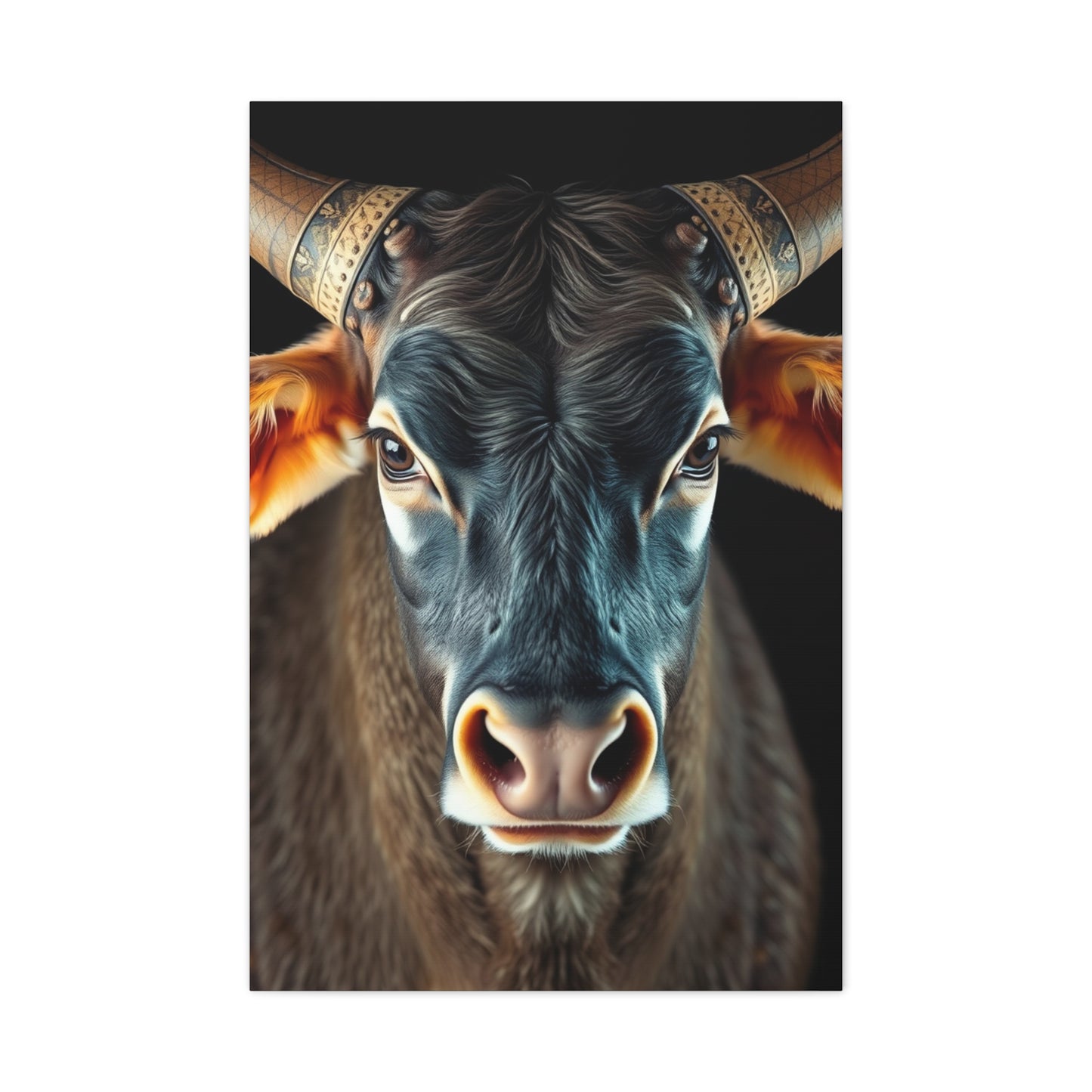 Taurus Art Supreme Gallery Wall Art & Canvas Print