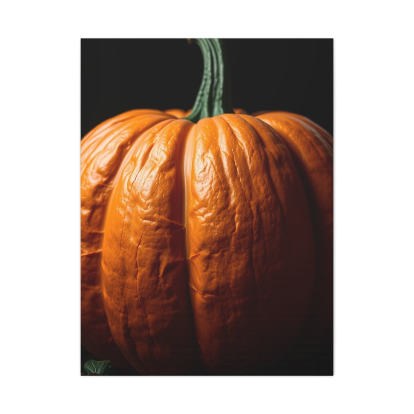 Regal Pumpkin Panorama wall art & canvas print