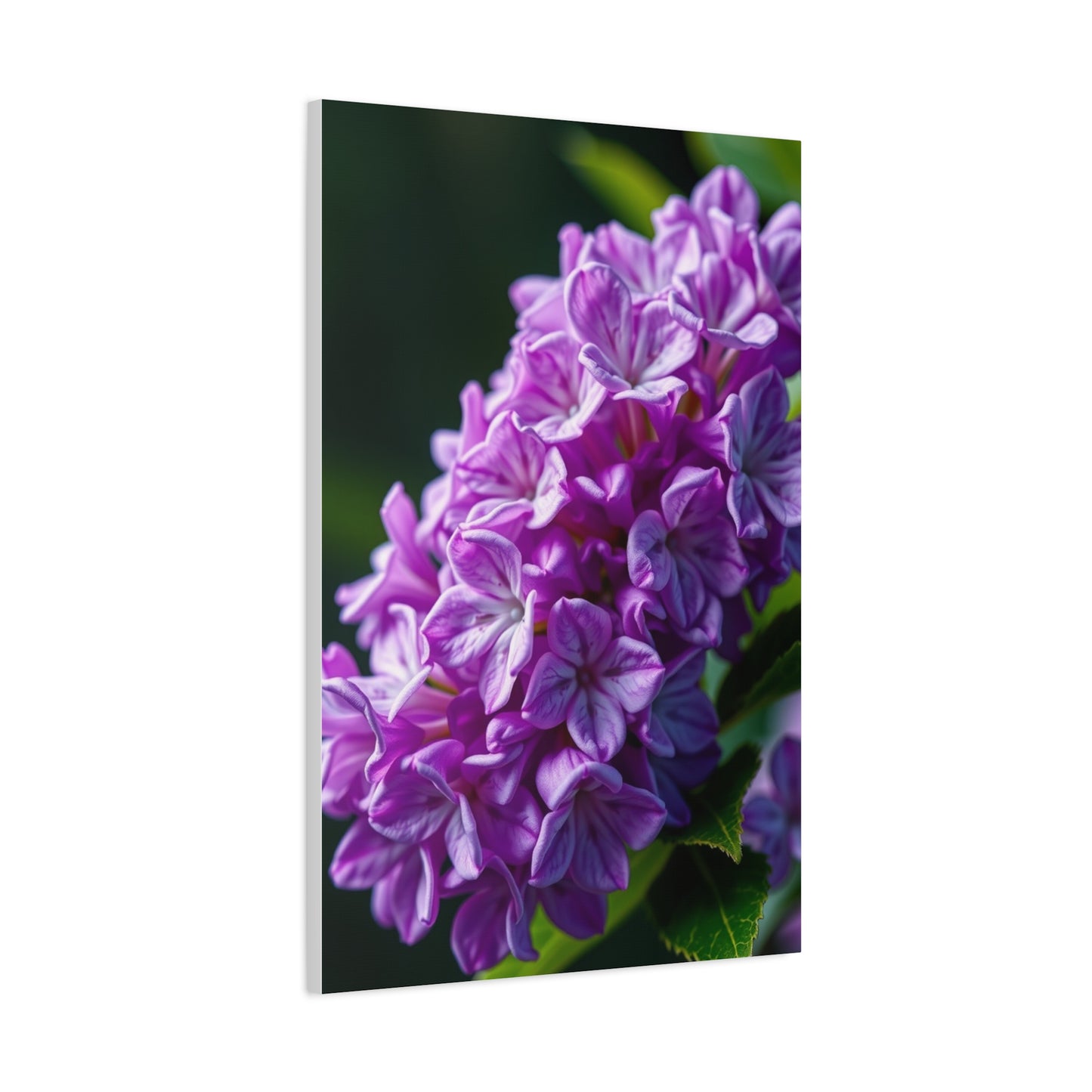 Supreme Lilac Flower Art Collection Wall Art & Canvas Print