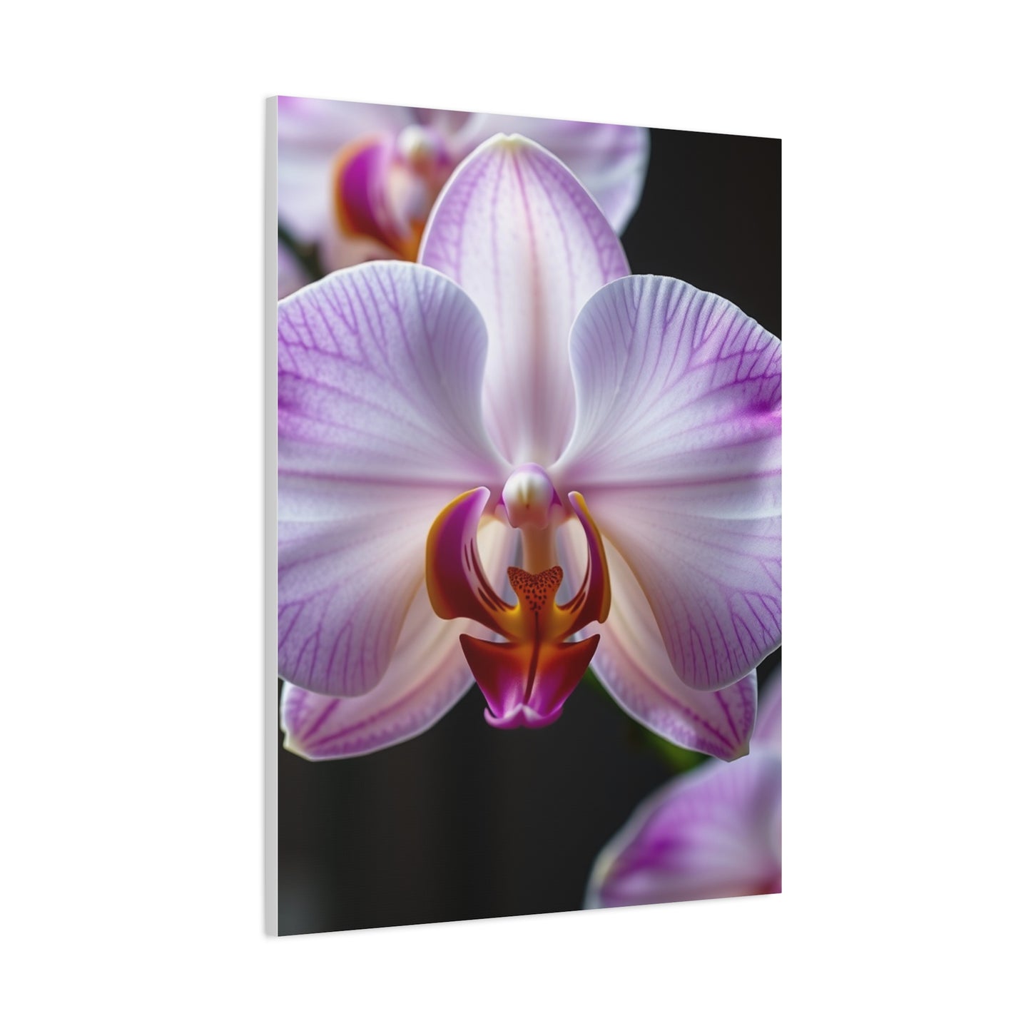 Orchid Flower Art Refined Canvas Wall Art & Canvas Print