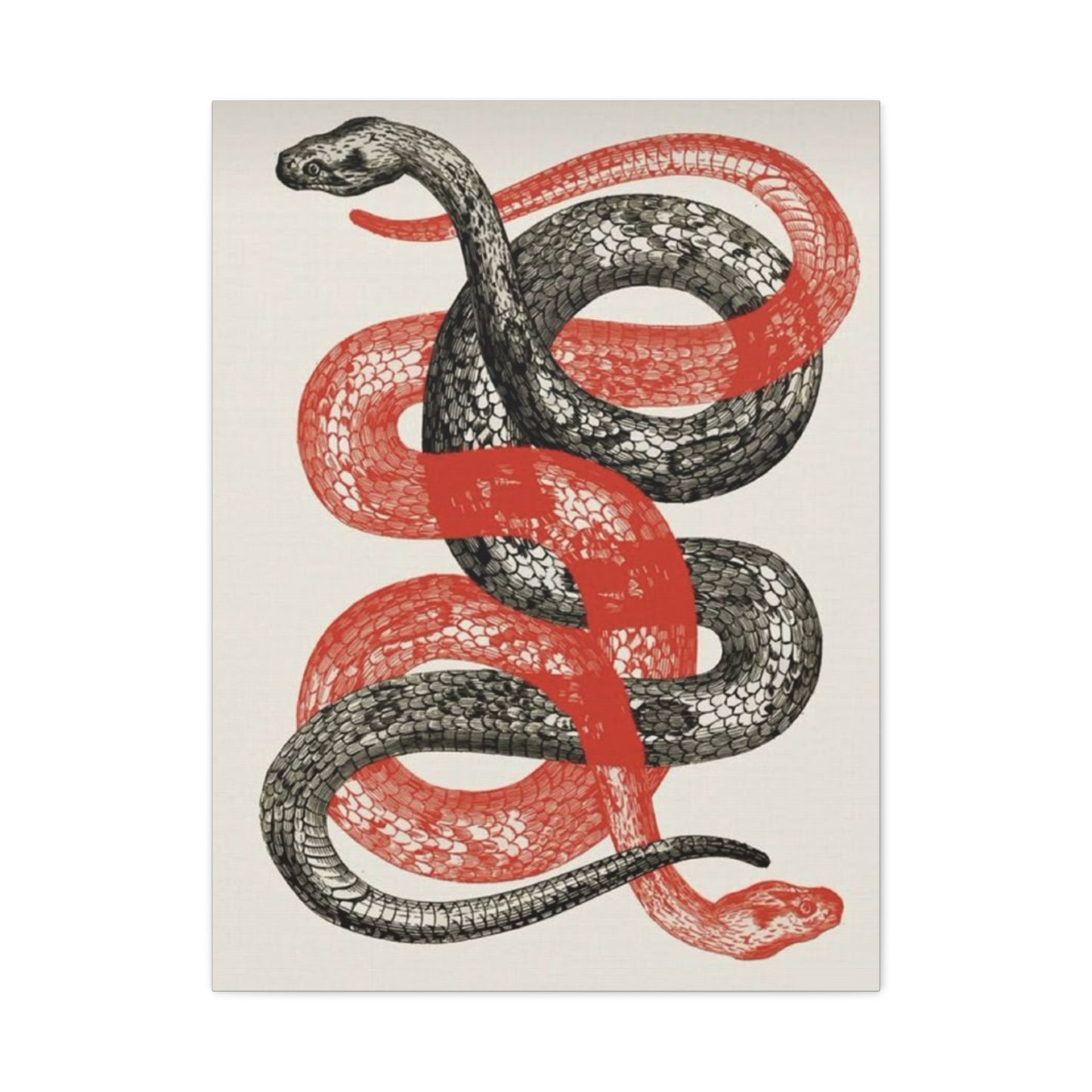 Red And Black Snake Wall Art & Canvas Prints