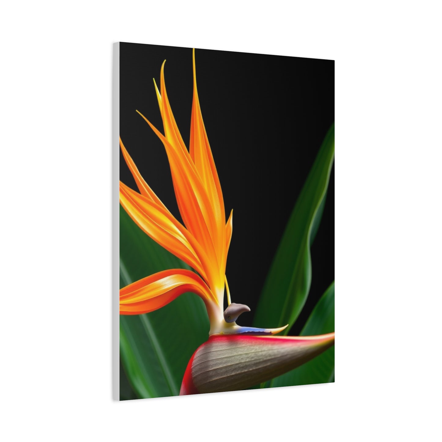 Bird of Paradise Plant Art Refined Canvas Wall Art & Canvas Print