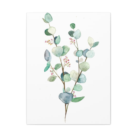 Eucalyptus Plant Light 2 Wall Art & Canvas Prints