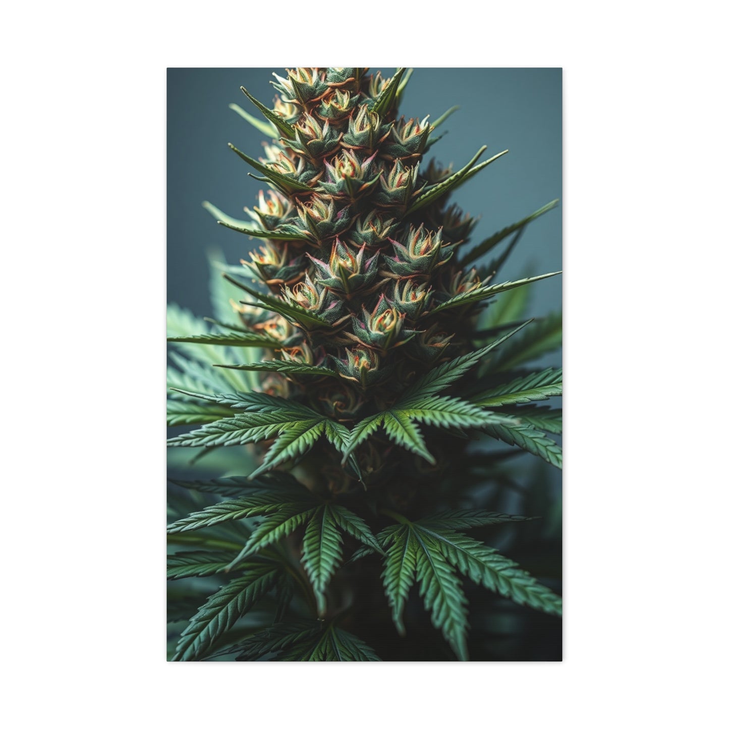 Emerald Reverie Art Wall Art & Canvas Print