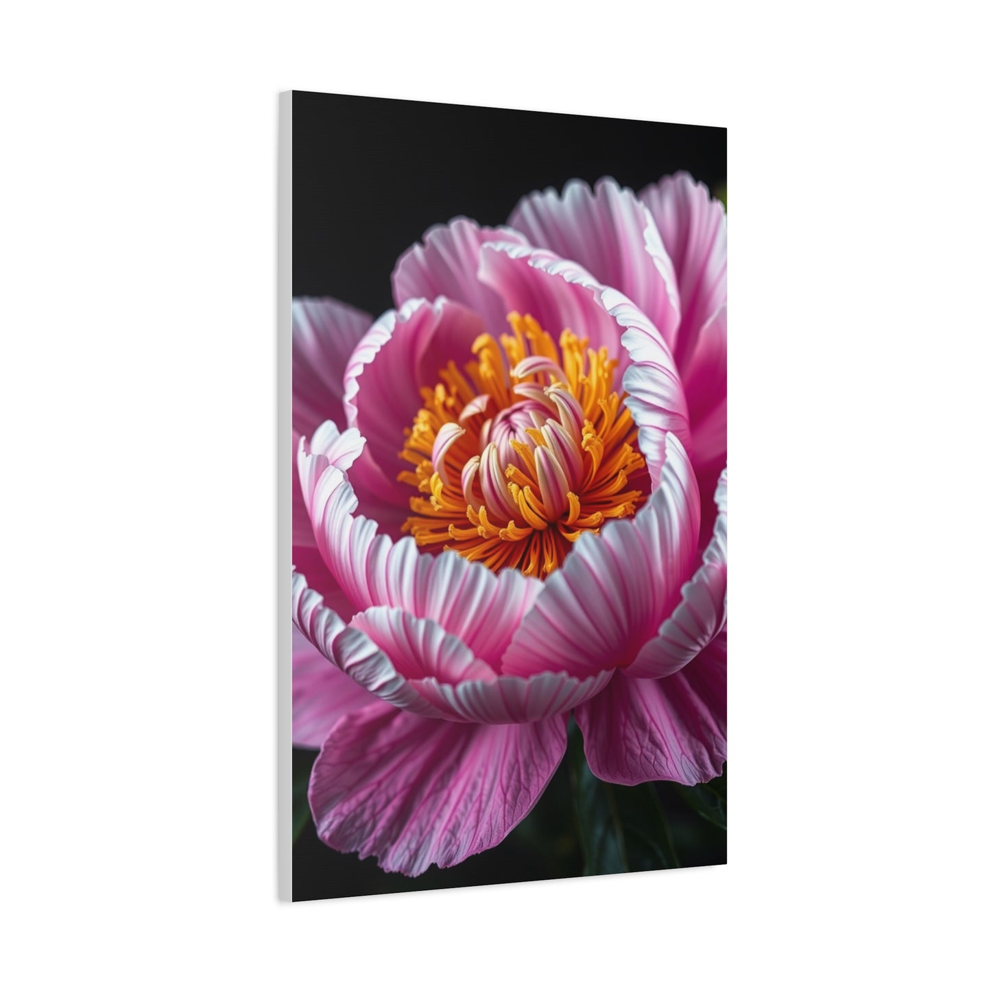 Celestial Peony Elegance Wall Art & Canvas Print