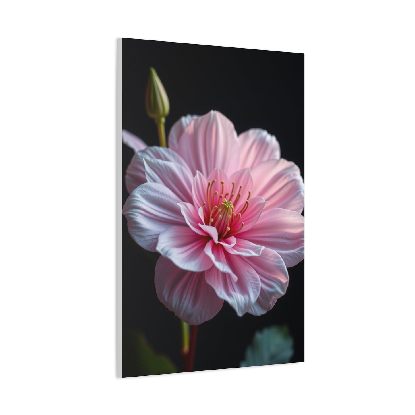 Aesthetic Flora Canvas Wall Art & Canvas Print