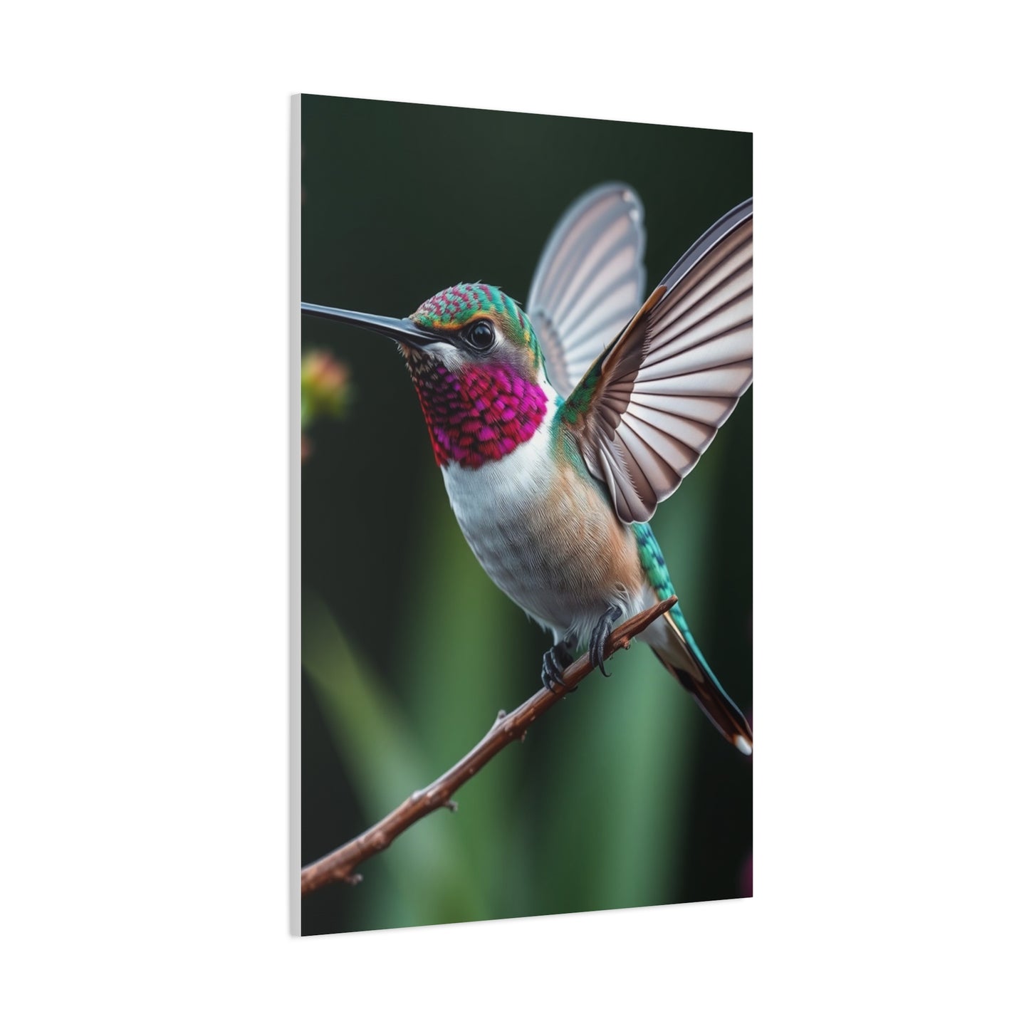 Humming Bird Art Supreme Gallery Wall Art & Canvas Print