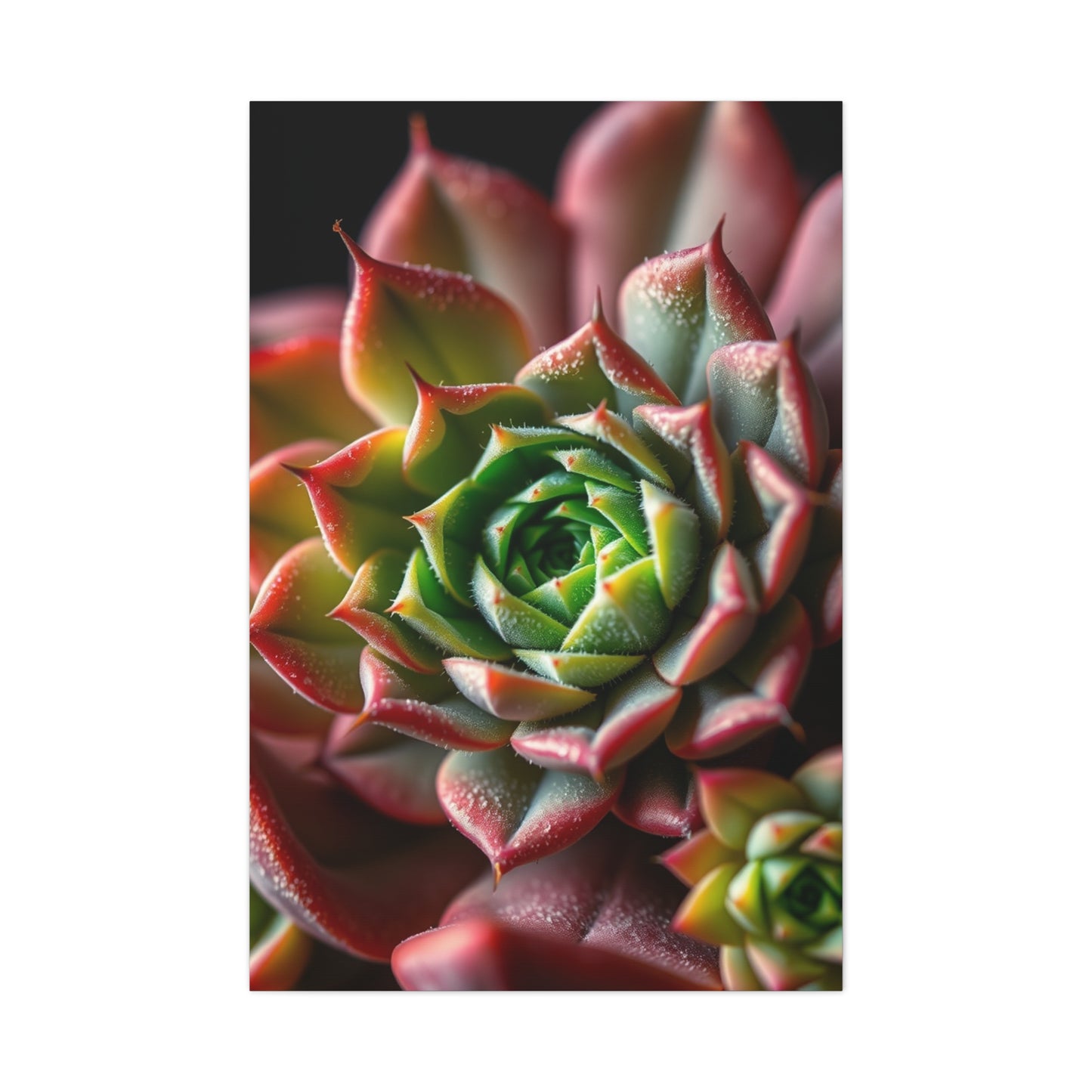 Vision Succulent Art Art Wall Art & Canvas Print